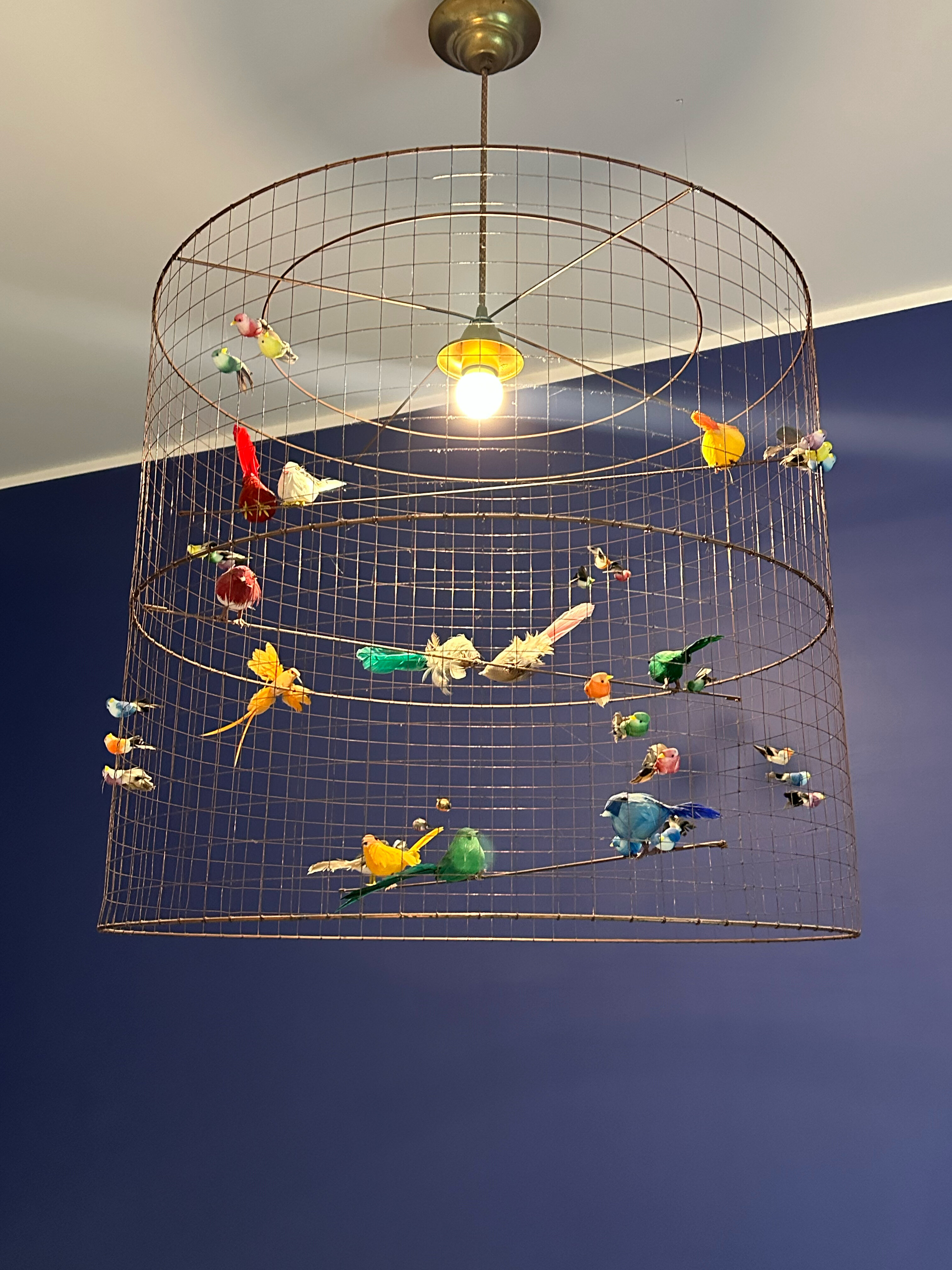 Фото Margot Sololaki