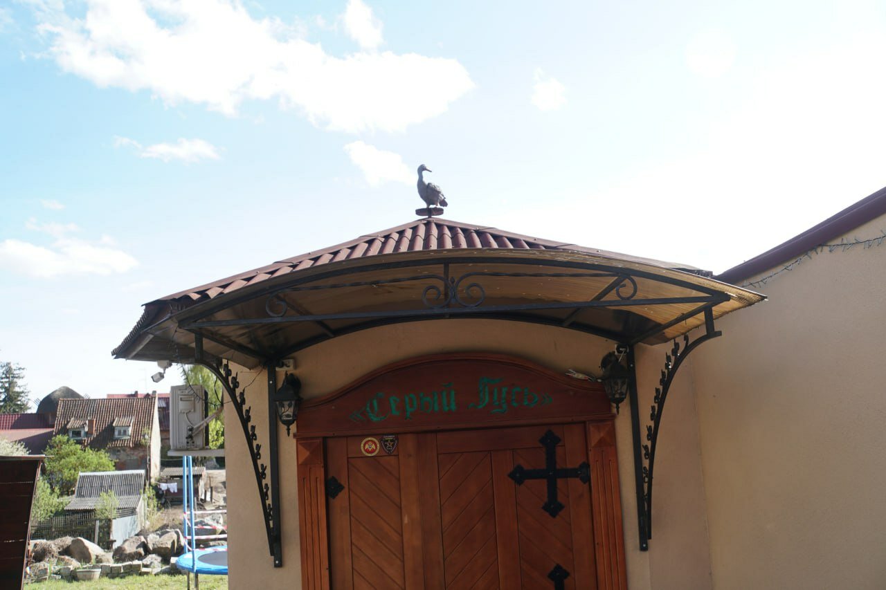 Фото Серый гусь