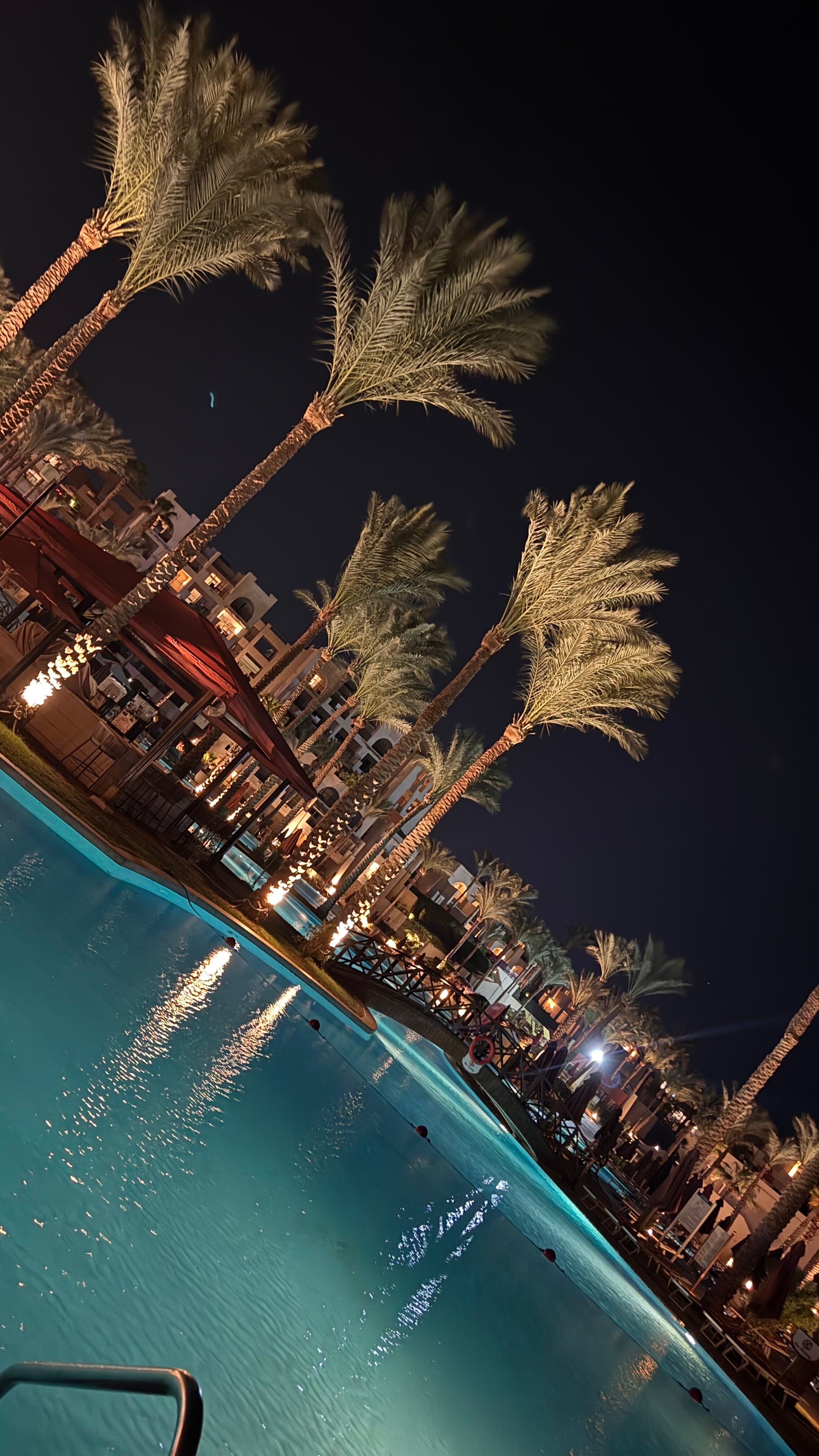 Фото Grand Rotana Resort & SPA 