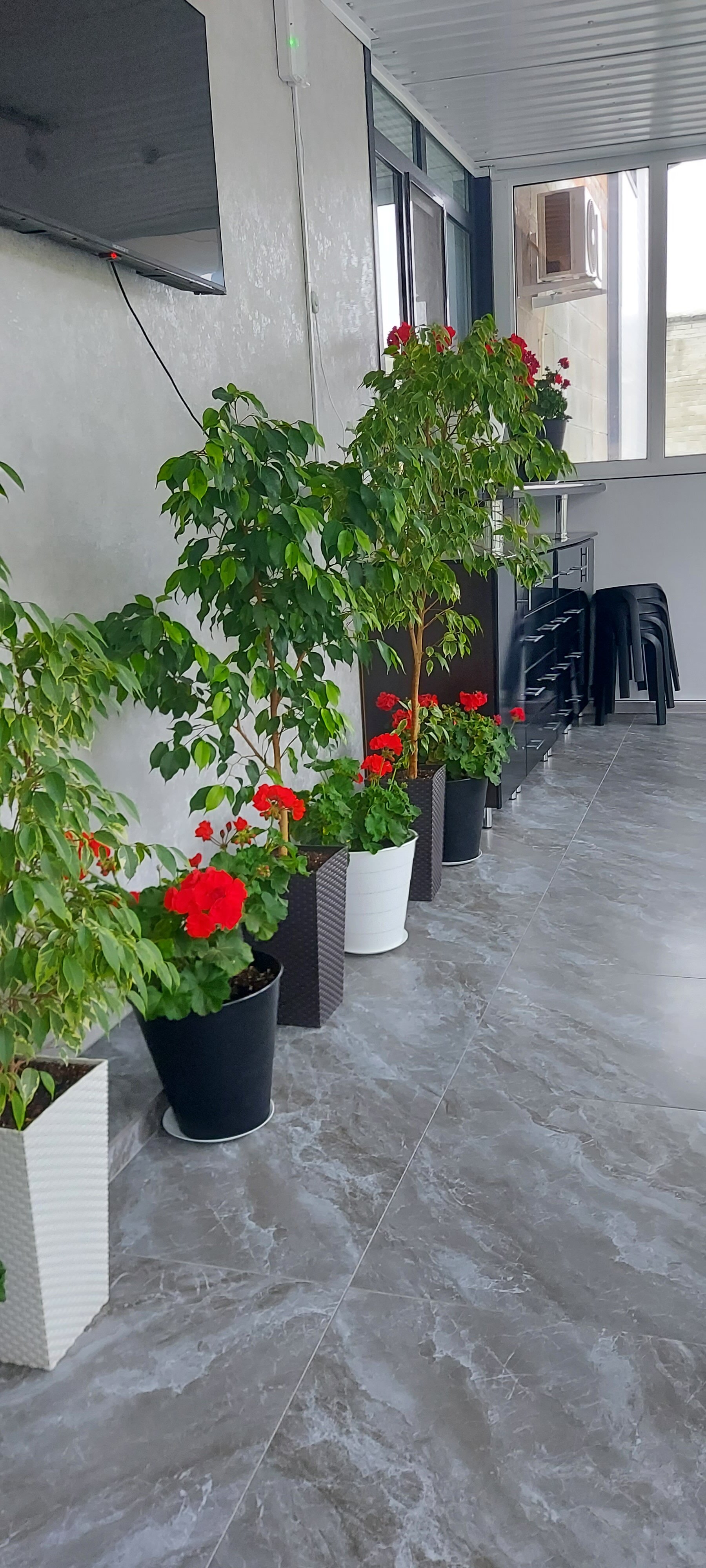 Фото Отель Вертикаль