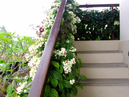 Фото Rumah Taman