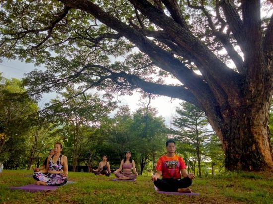 Фото The Piano Resort Khaoyai