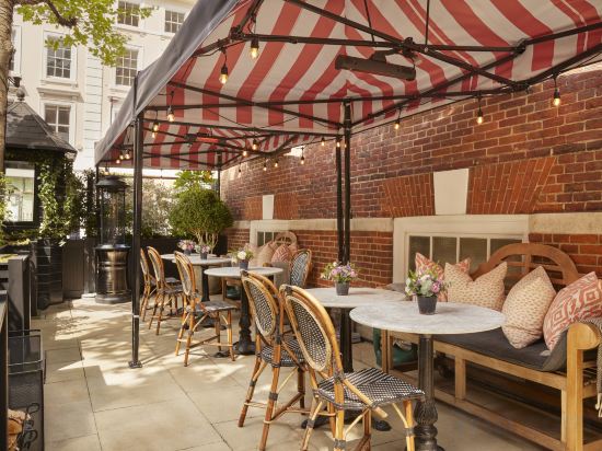 Фото The Bloomsbury