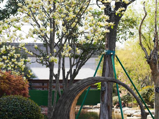 Фото 49132333548