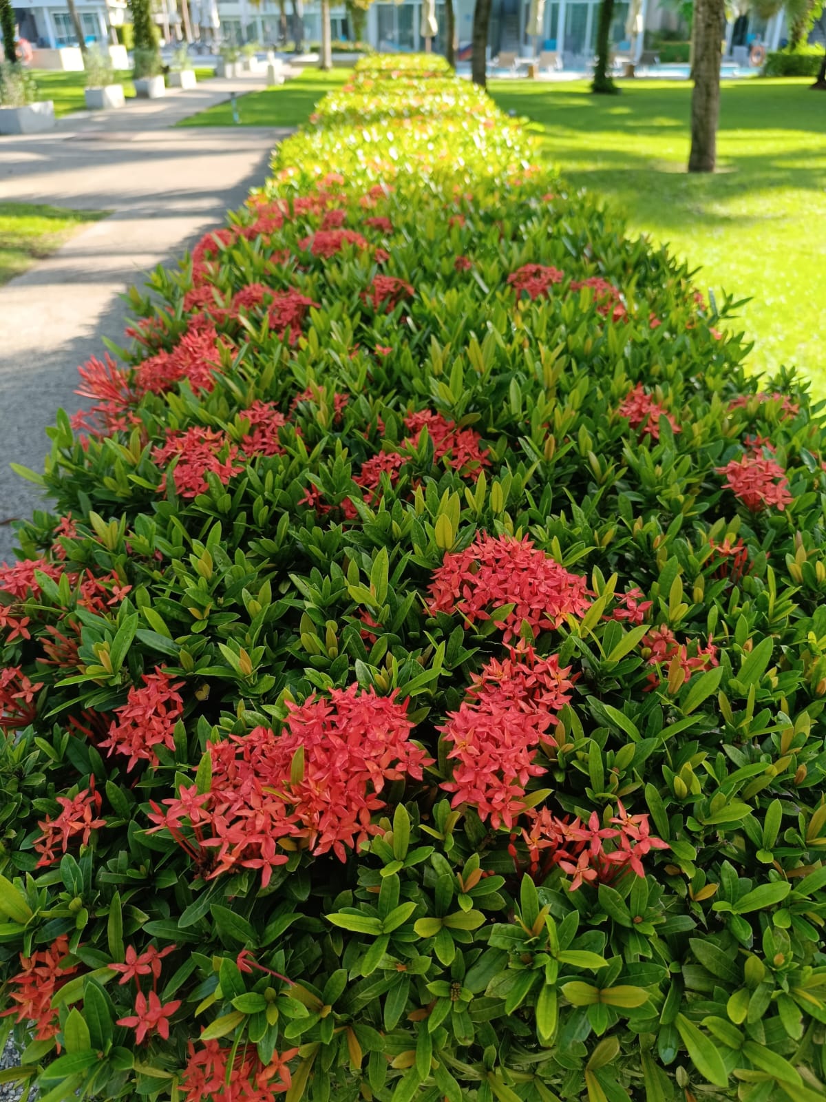 Фото The Waters Khao Lak by Katathani