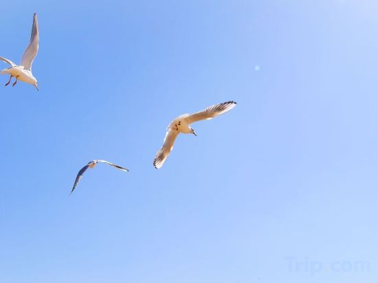 Фото Shangri-La Qinhuangdao