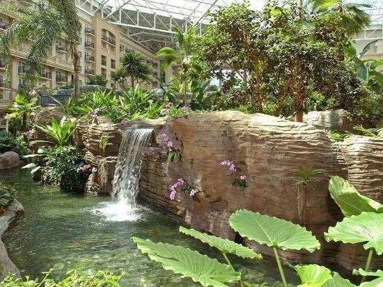 Фото Gaylord Palms Resort & Convention Center