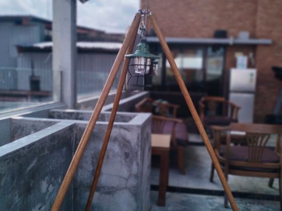 Фото Urban Bamboo