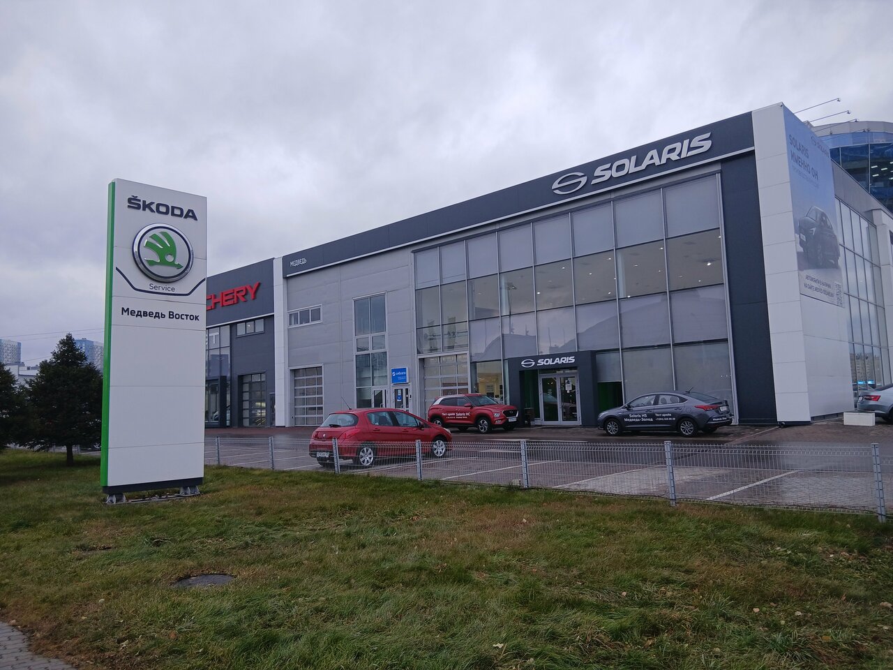 photo Skoda Медведь-Восток