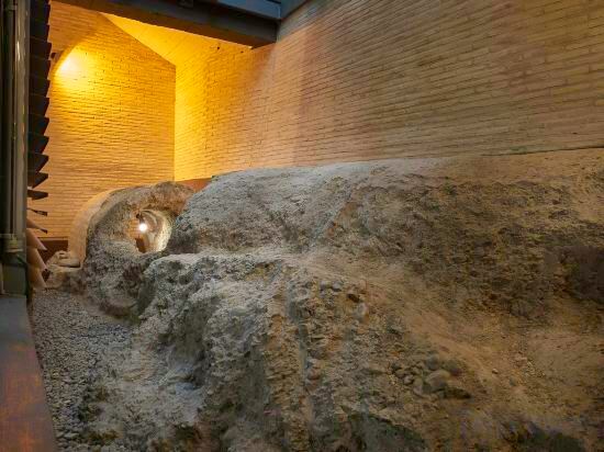 Фото 120258669100