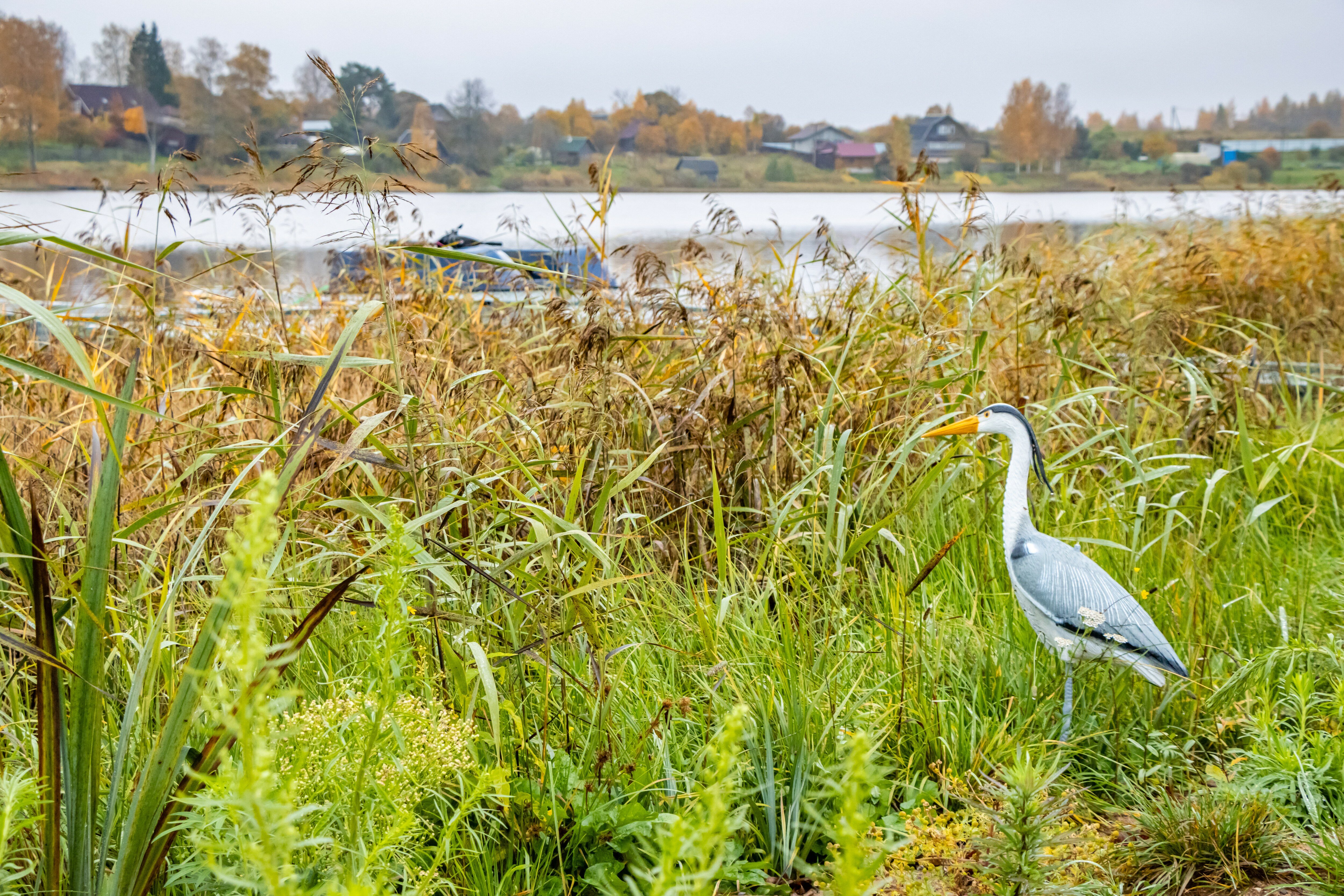 Фото Мыза Иногоща