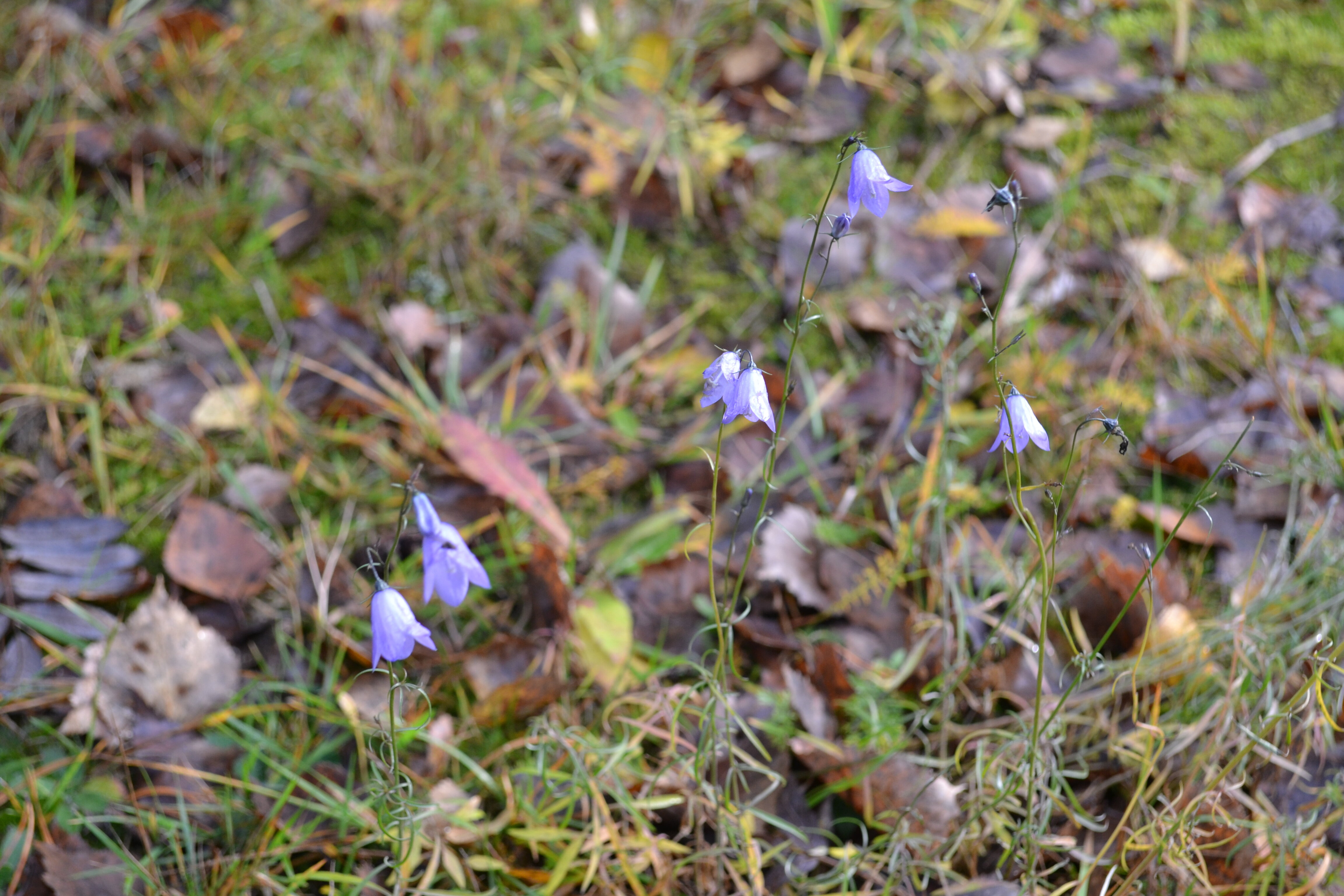 Фото Заречье