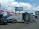 Ribniy Mir 55 (Neftzavodskaya Street, 27В) ، الأسماك والمأكولات البحرية