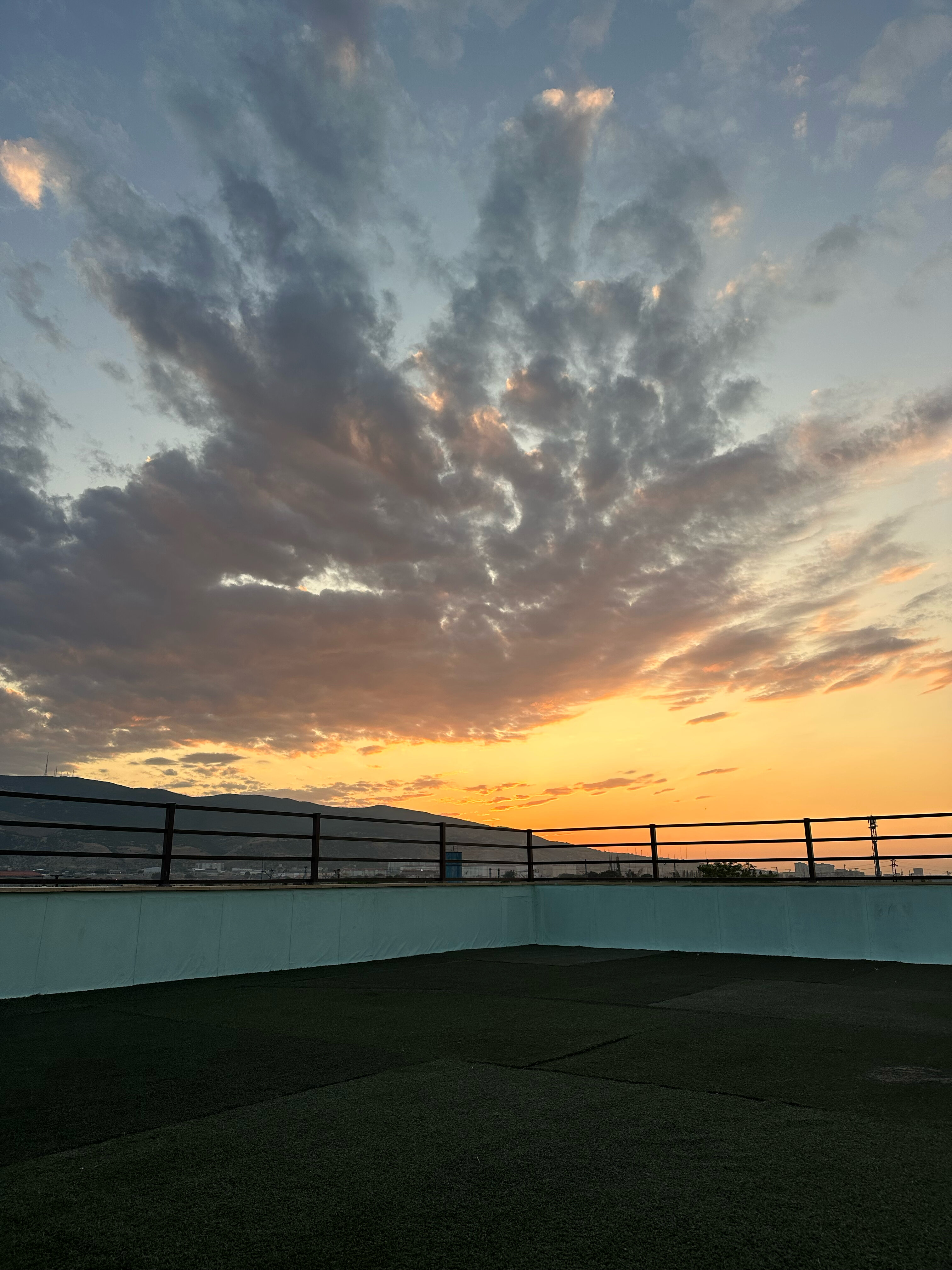 Фото Платан