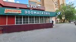 Pushistik (1st Aeroportovskaya Street, 6), pet salon