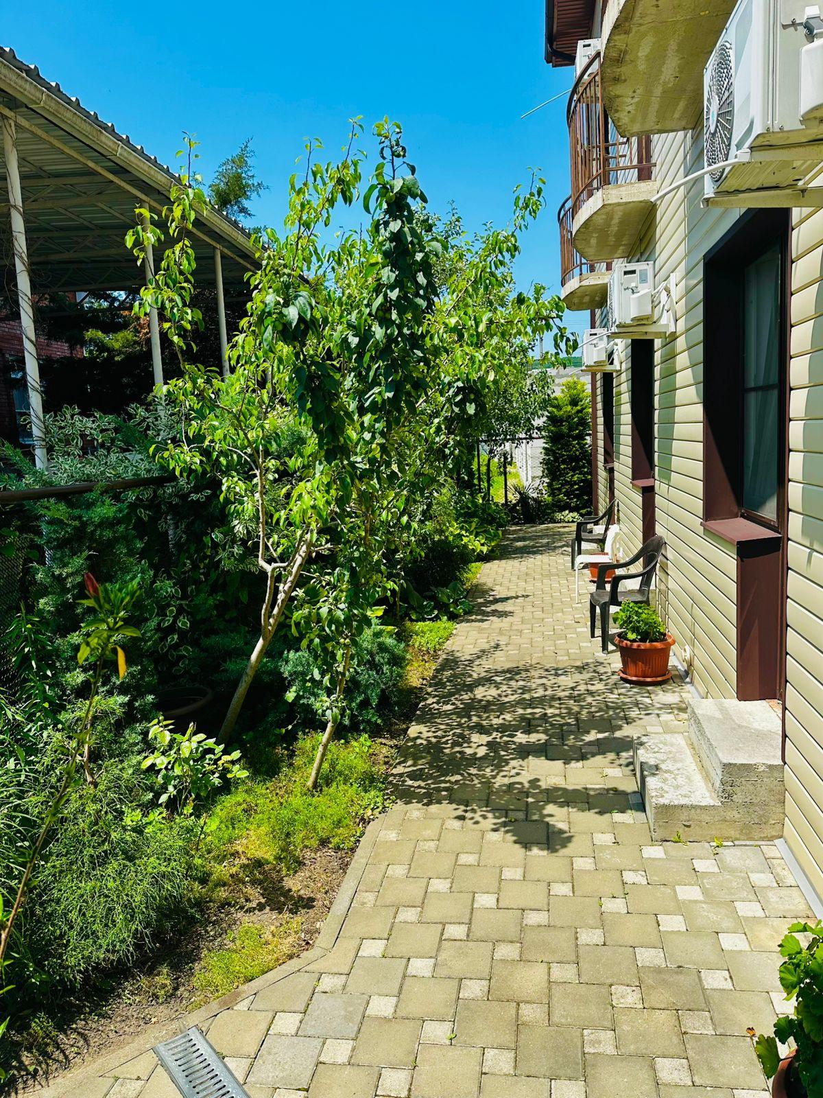 Фото Август