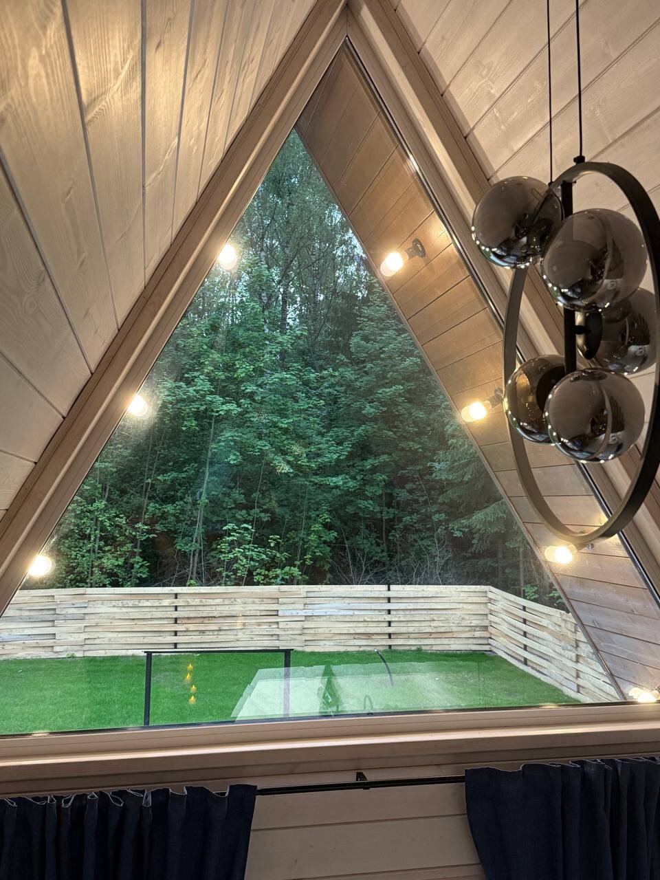 Фото Звёзды леса