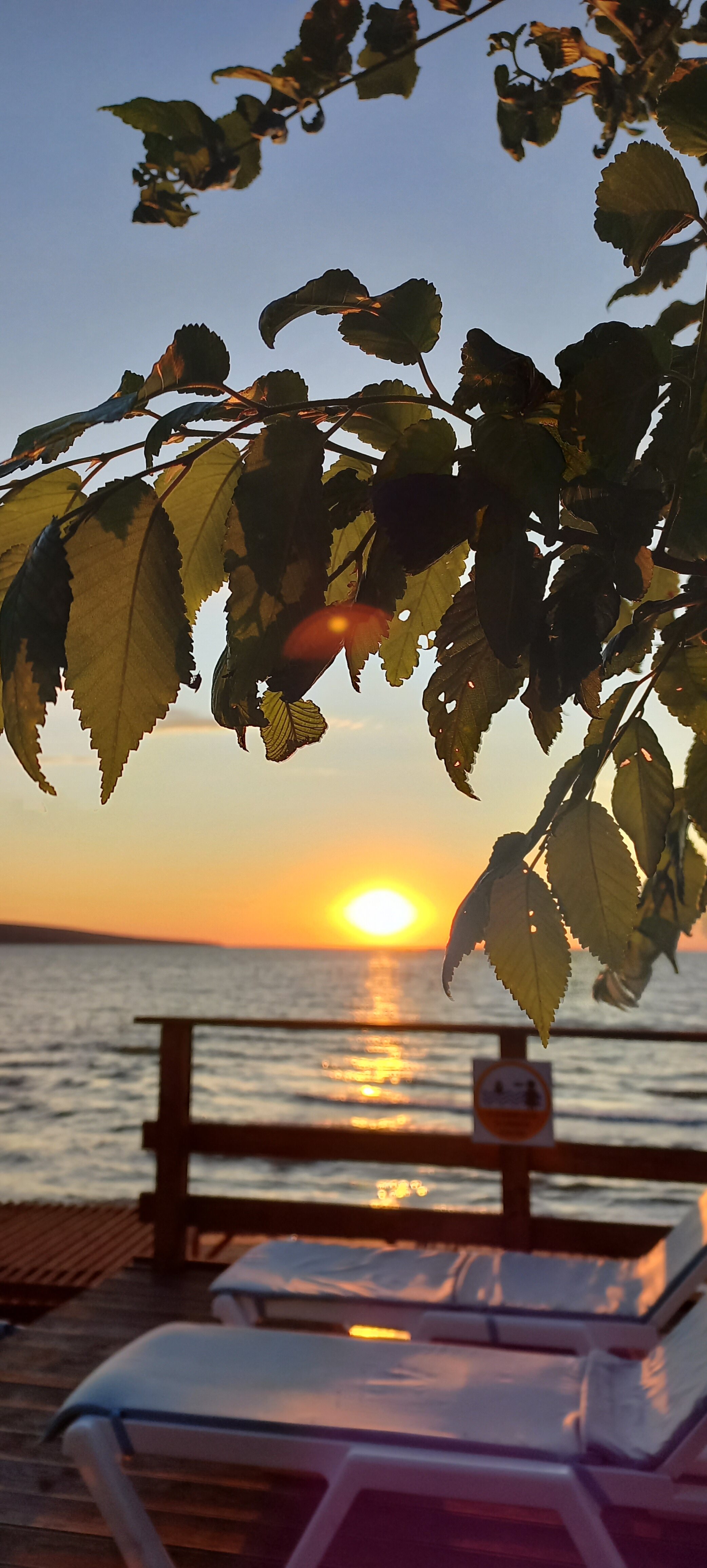 Фото Амбассадор