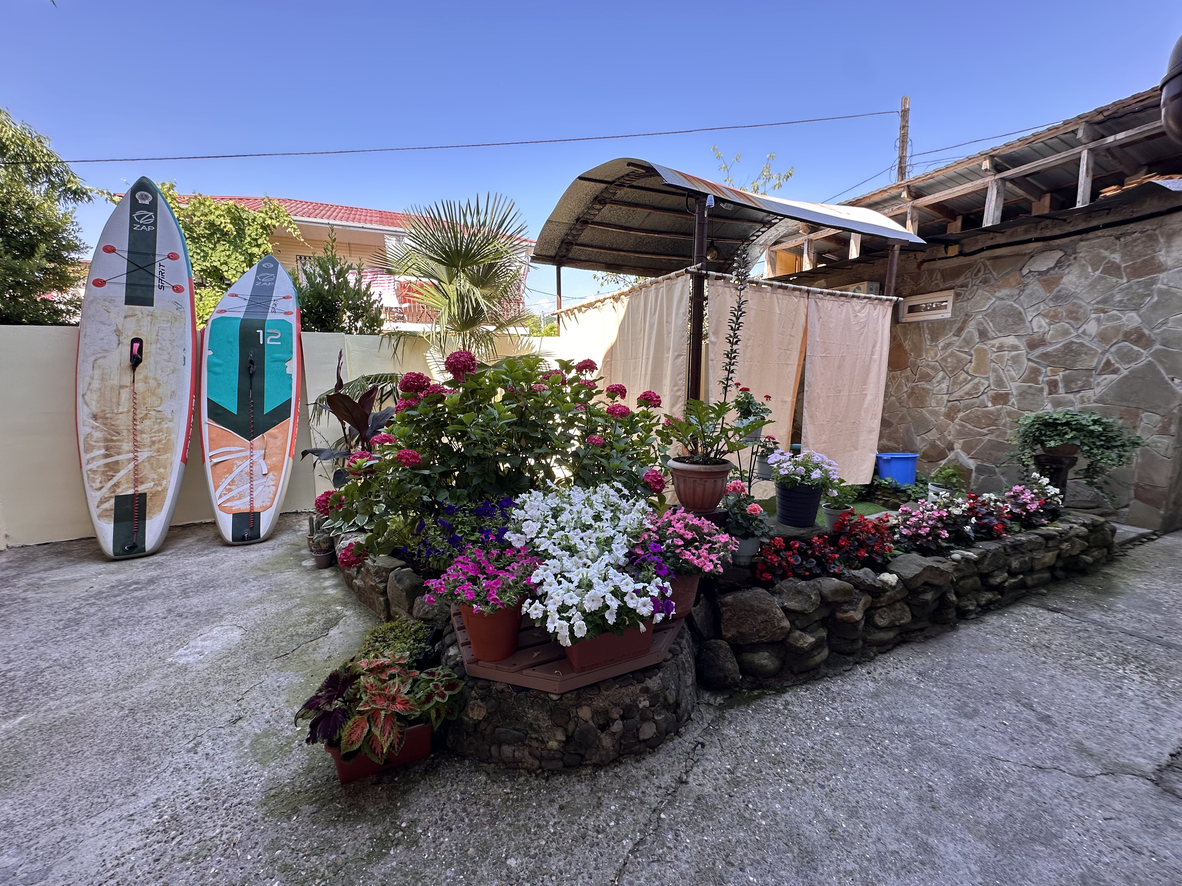 Фото Бамбуковая Роща