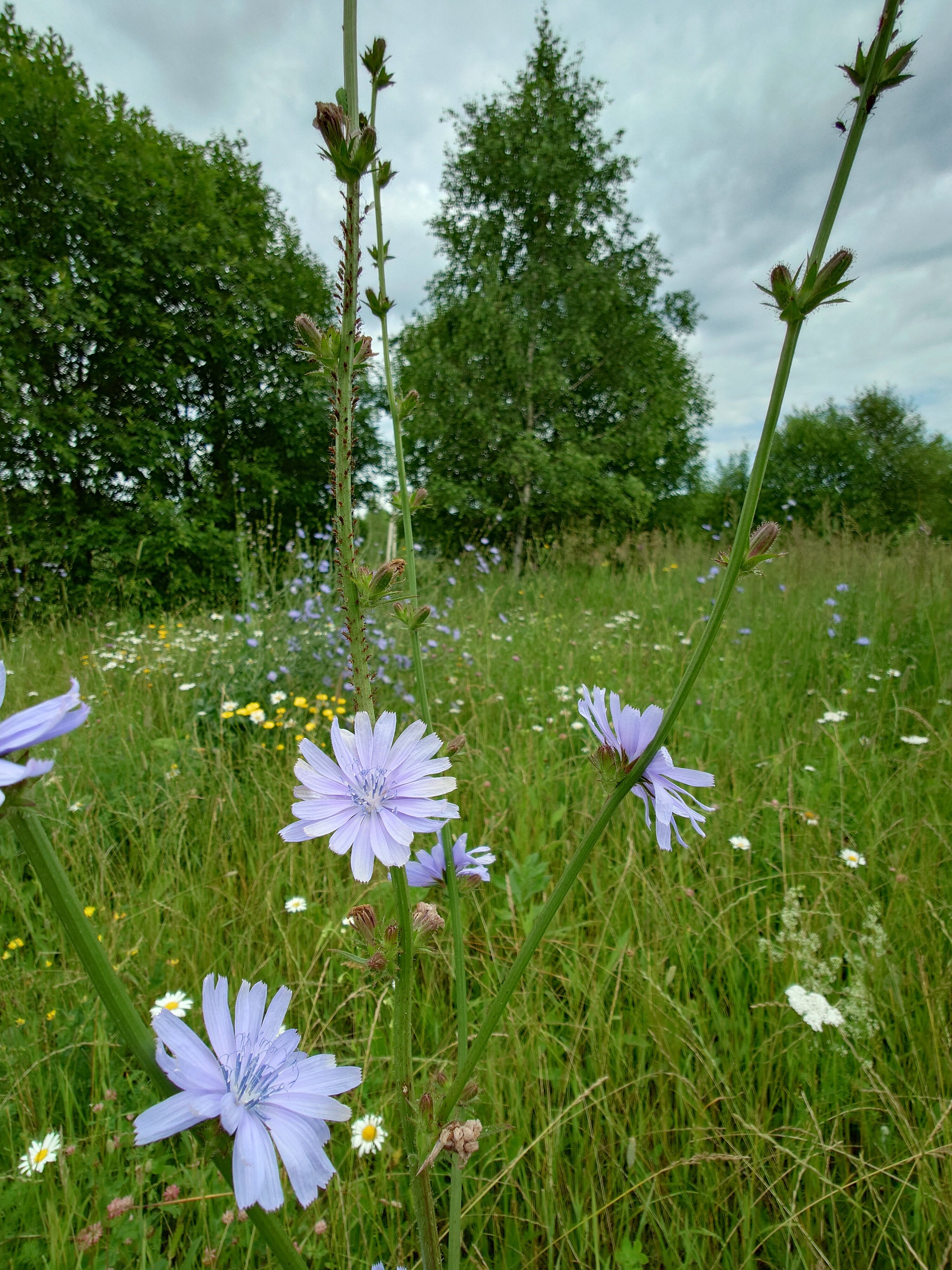 Фото Sheluha house