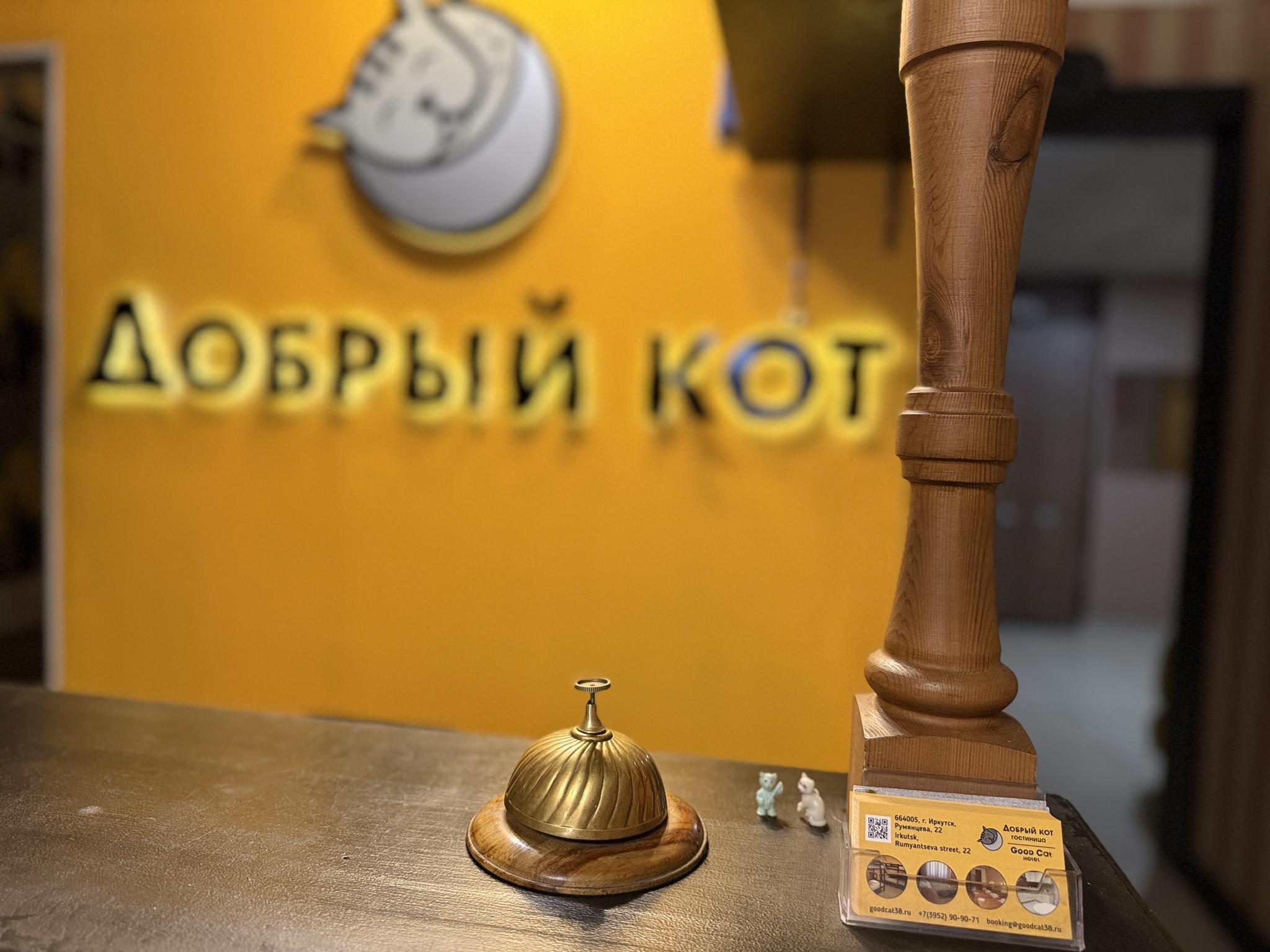 Фото Добрый Кот