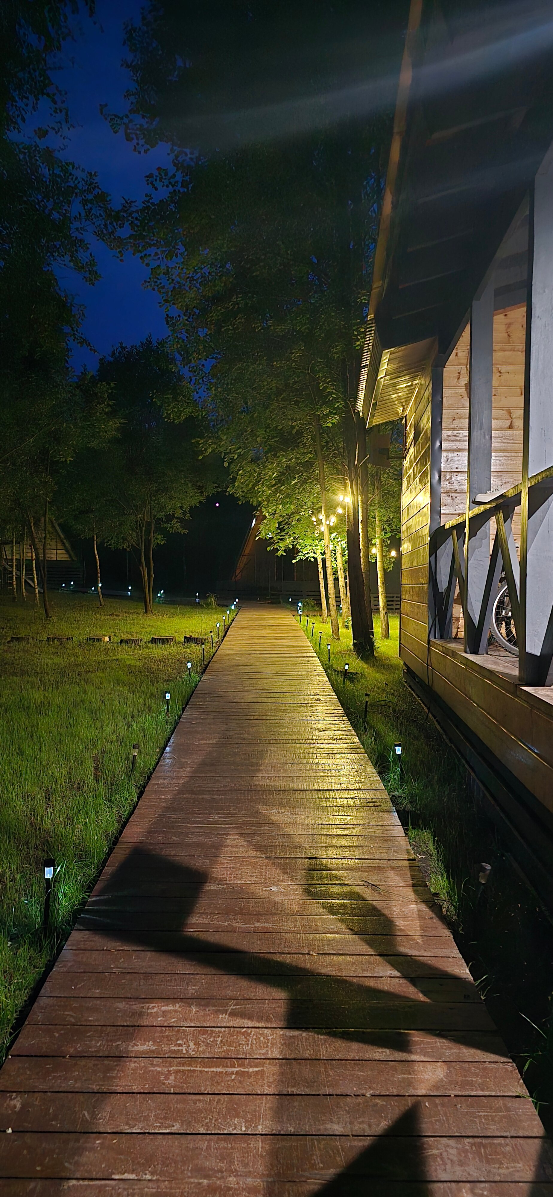 Фото Загорские дубки