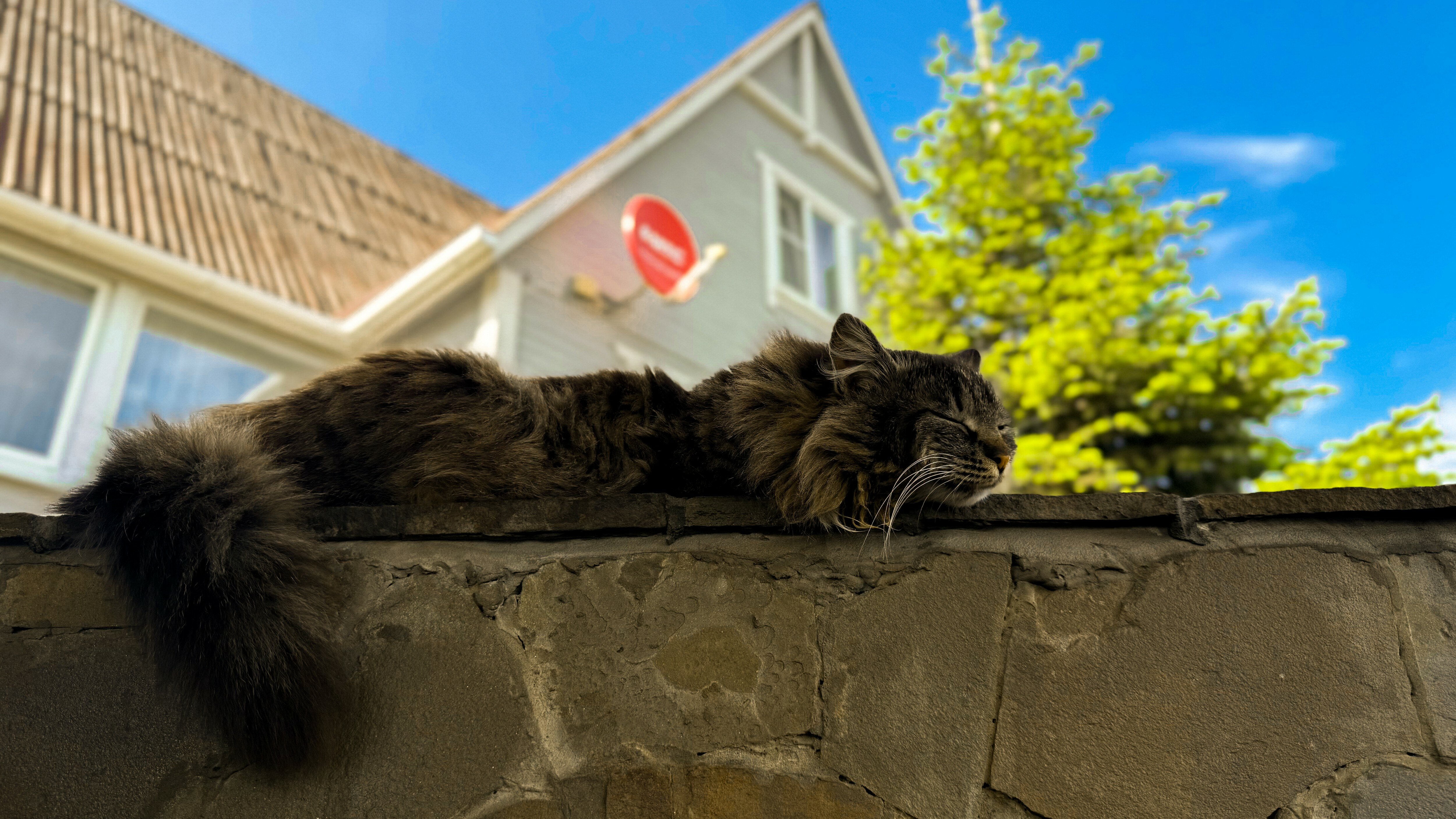 Фото Kalinin eco village