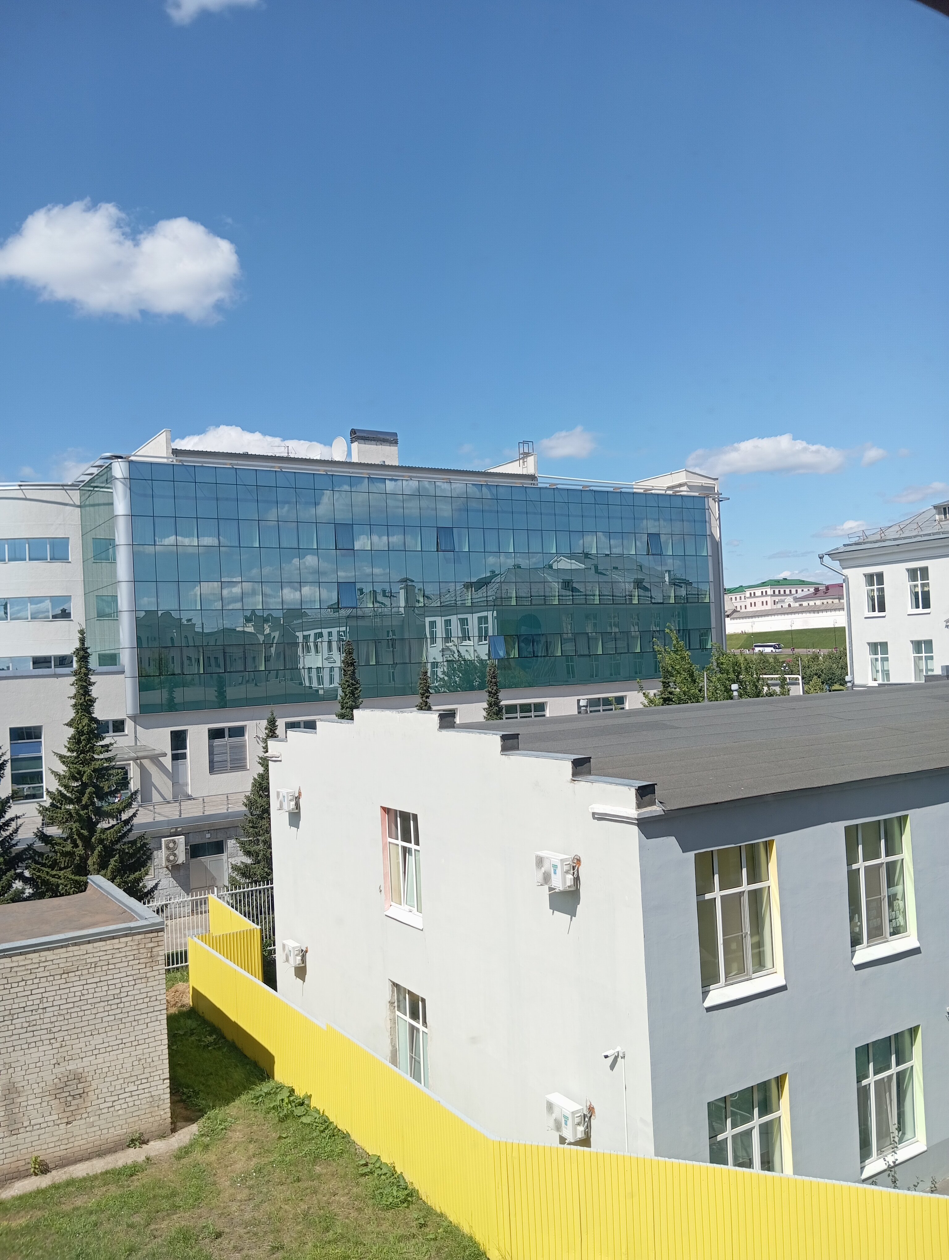 Фото Азалия на Московской