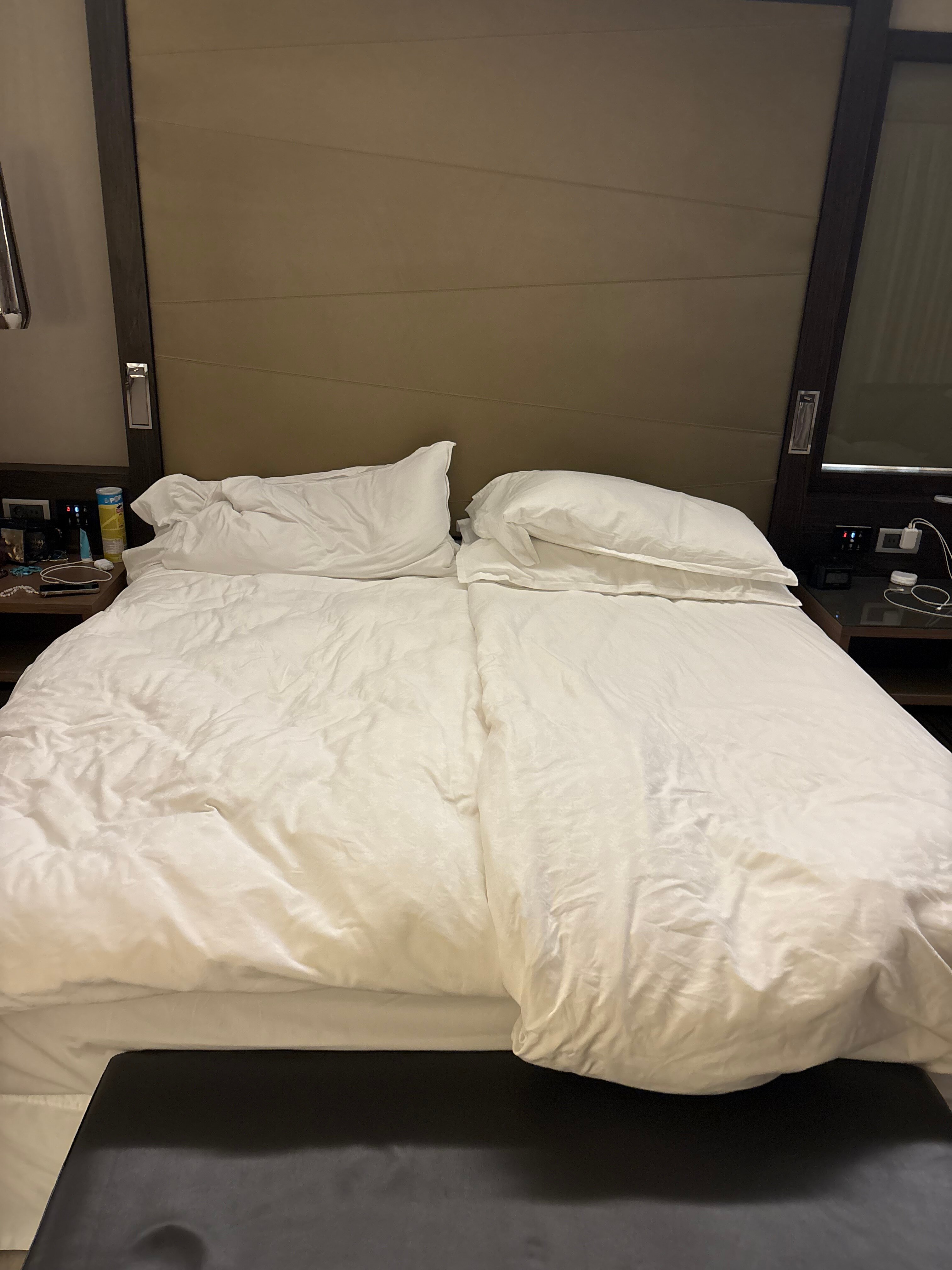 Фото Sheraton Grand Tbilisi Metechi Palace