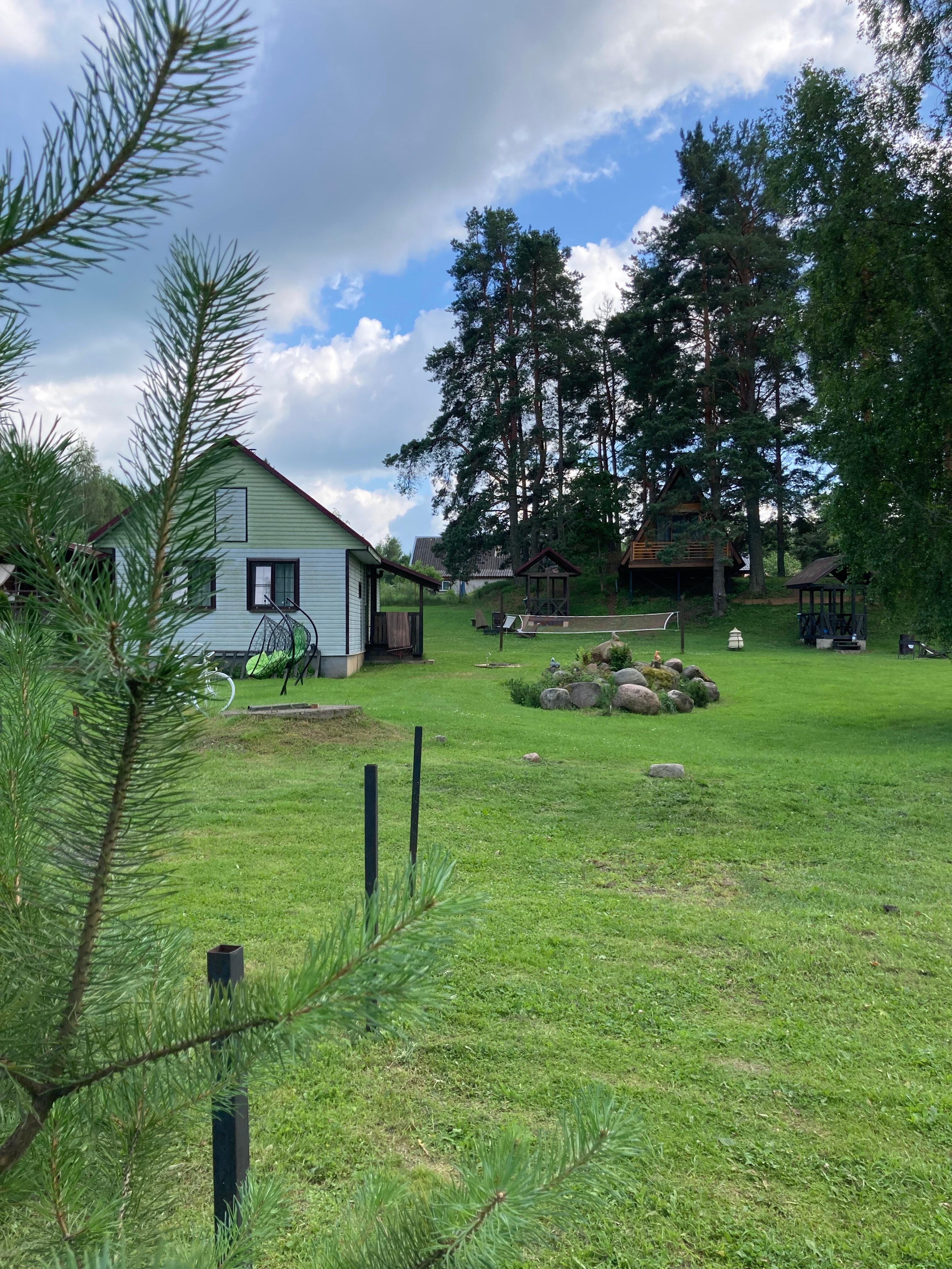 Фото Сосновая роща