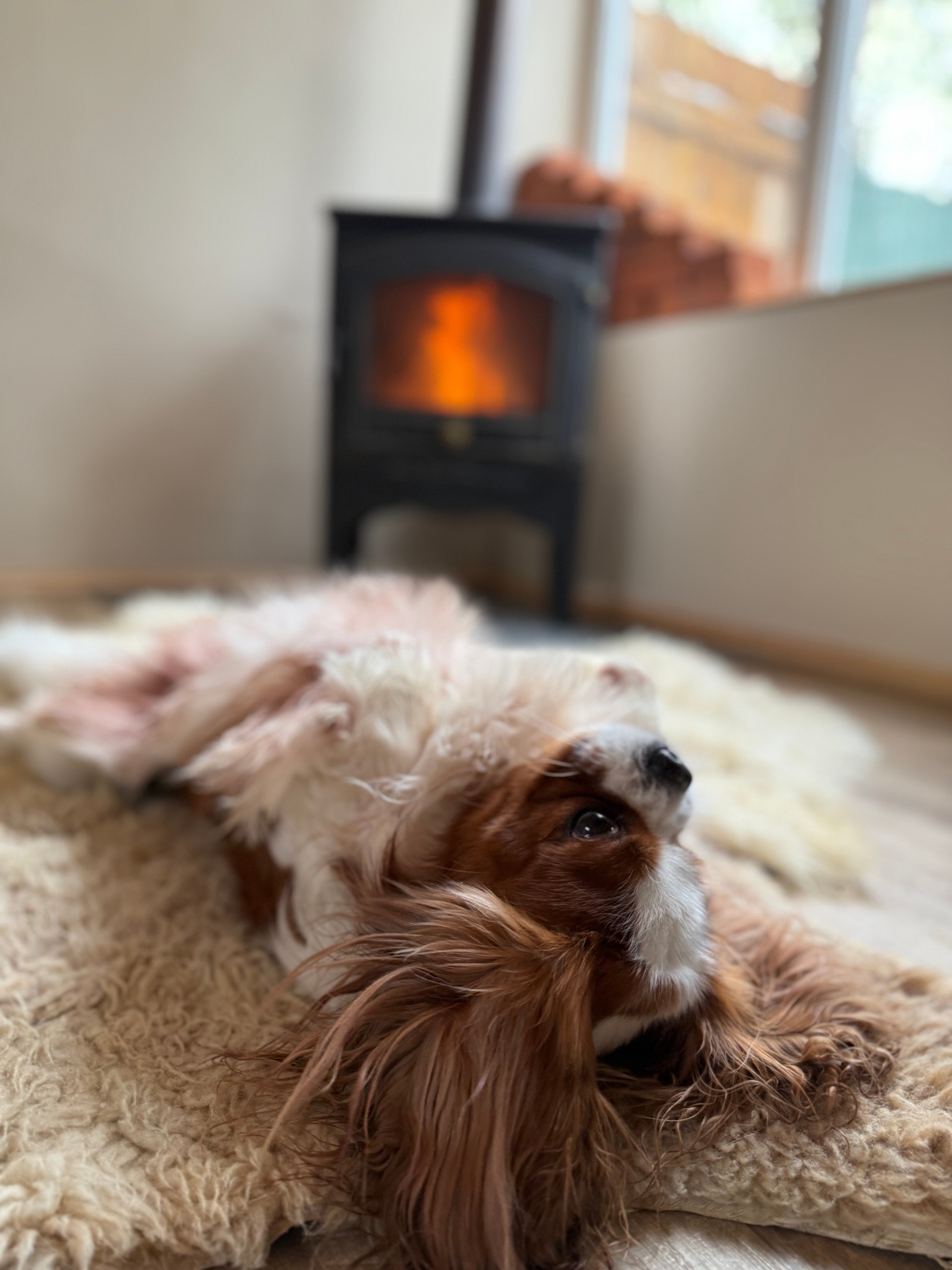 Фото Другой берег