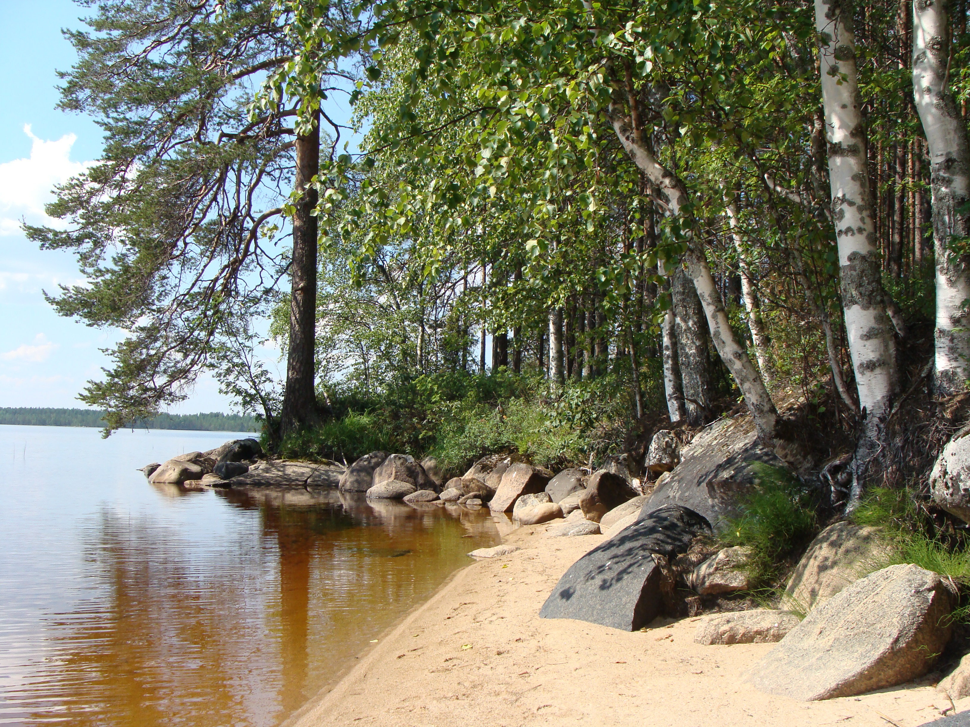 Фото Поляна