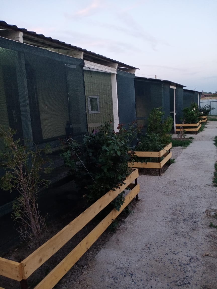 Фото У дяди Вади