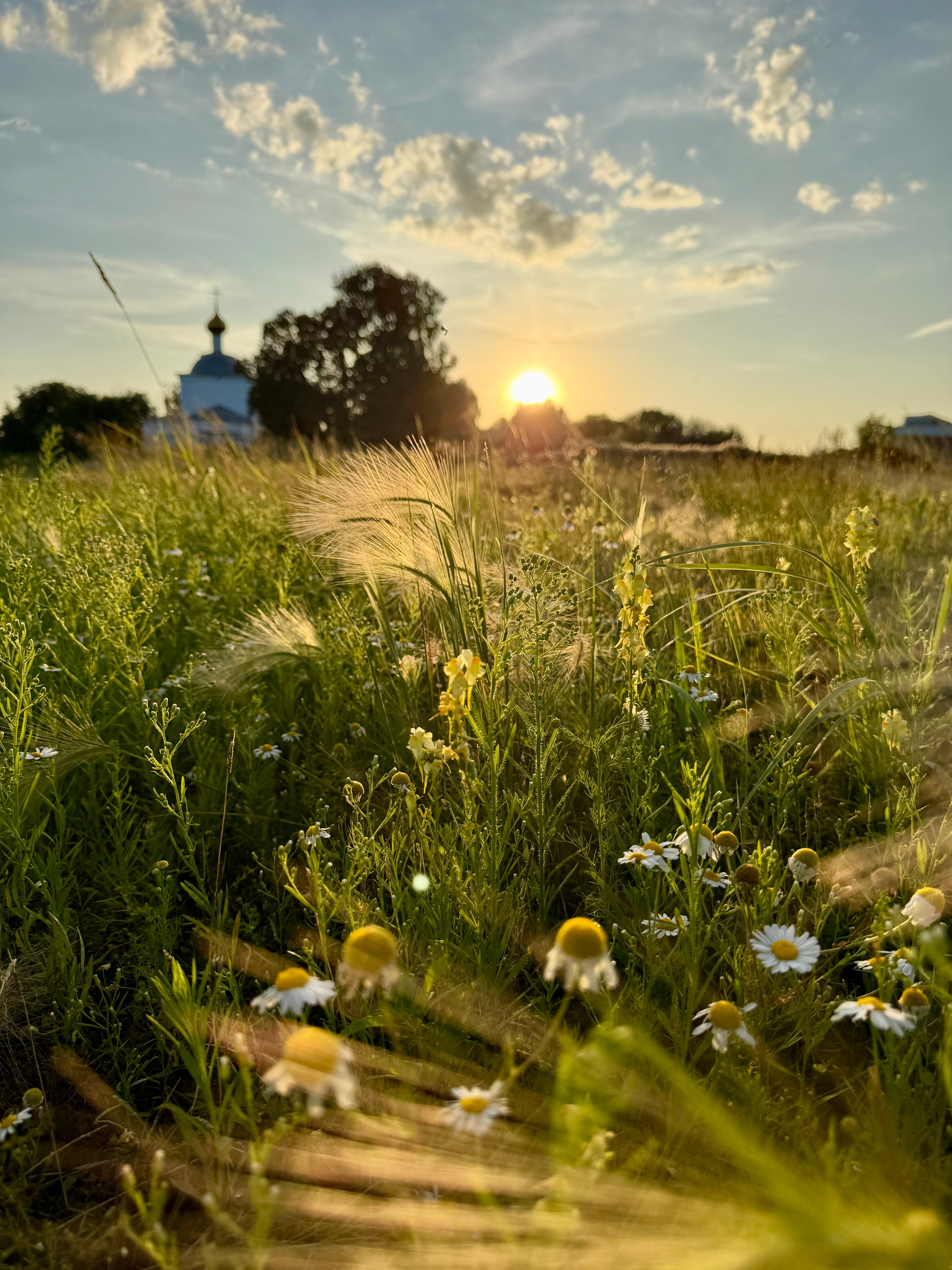 Фото Обитель