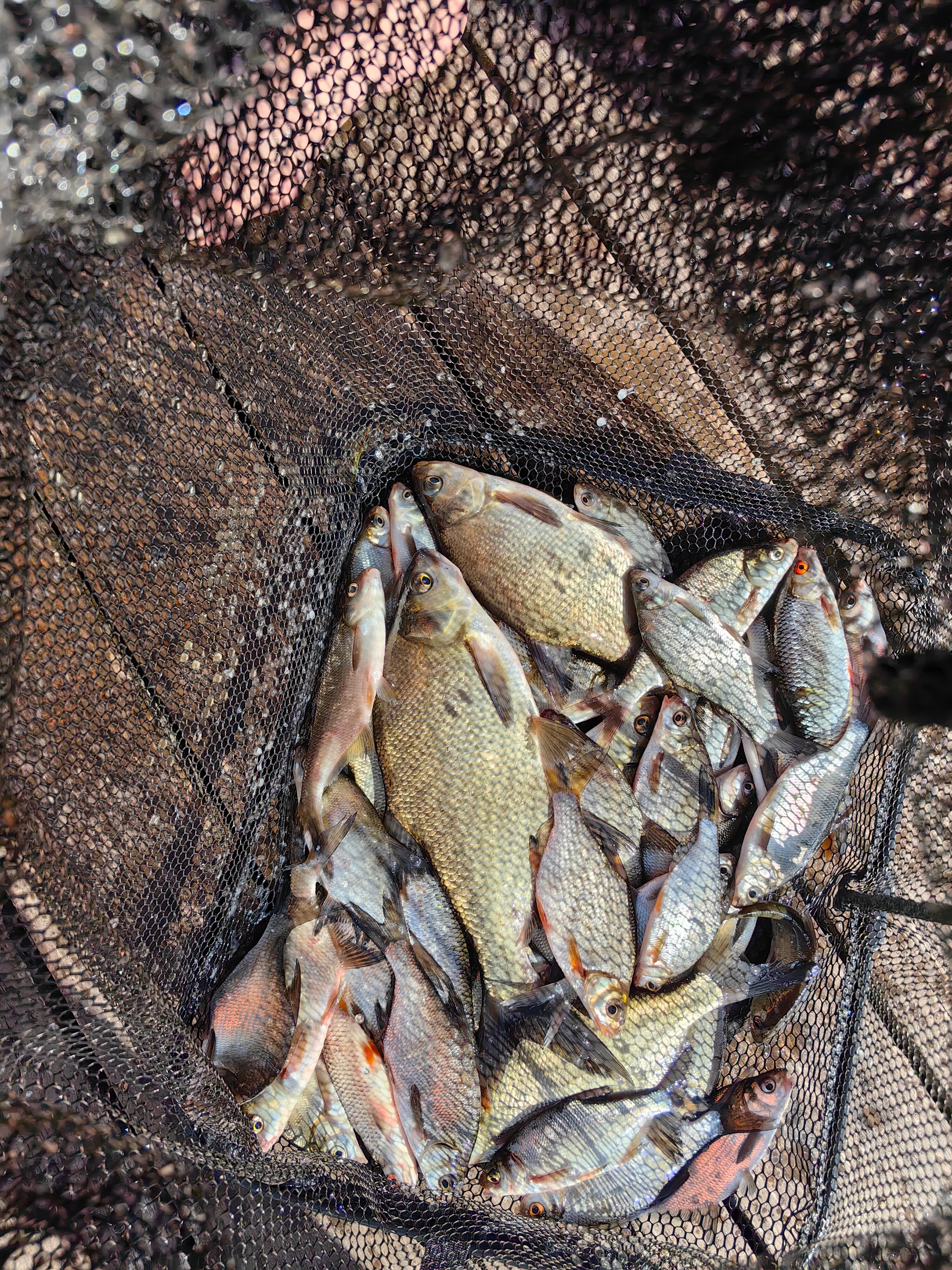 Фото 179204430868