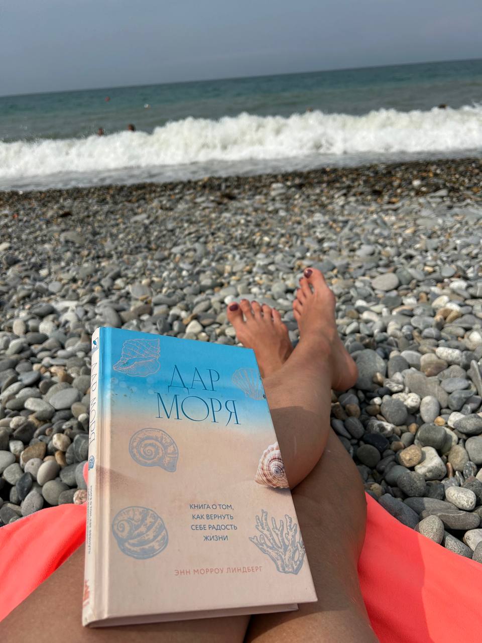 Фото Кипарис