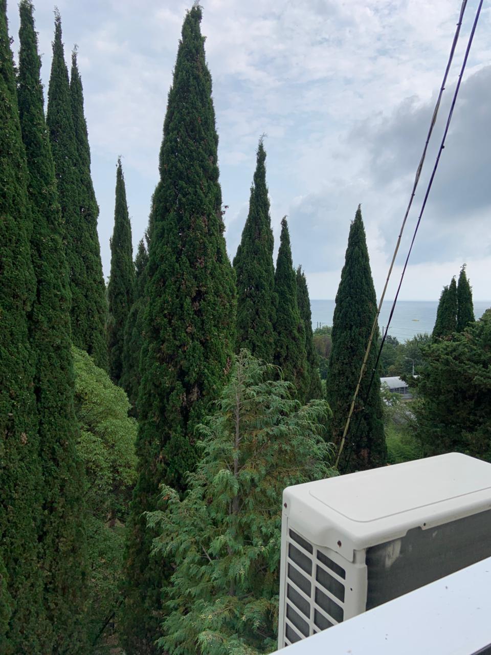 Фото Дом отдыха Лазаревский