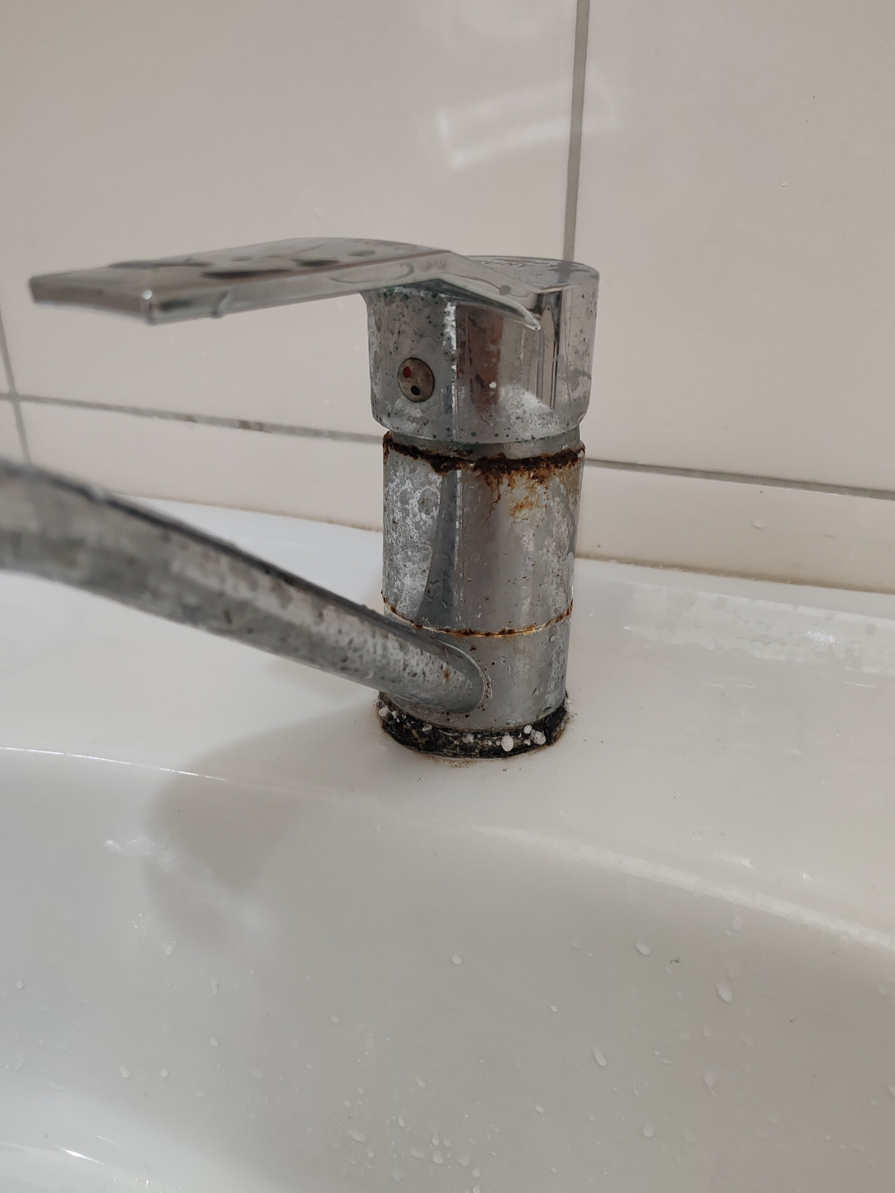 Фото Экзотика-Атлантик