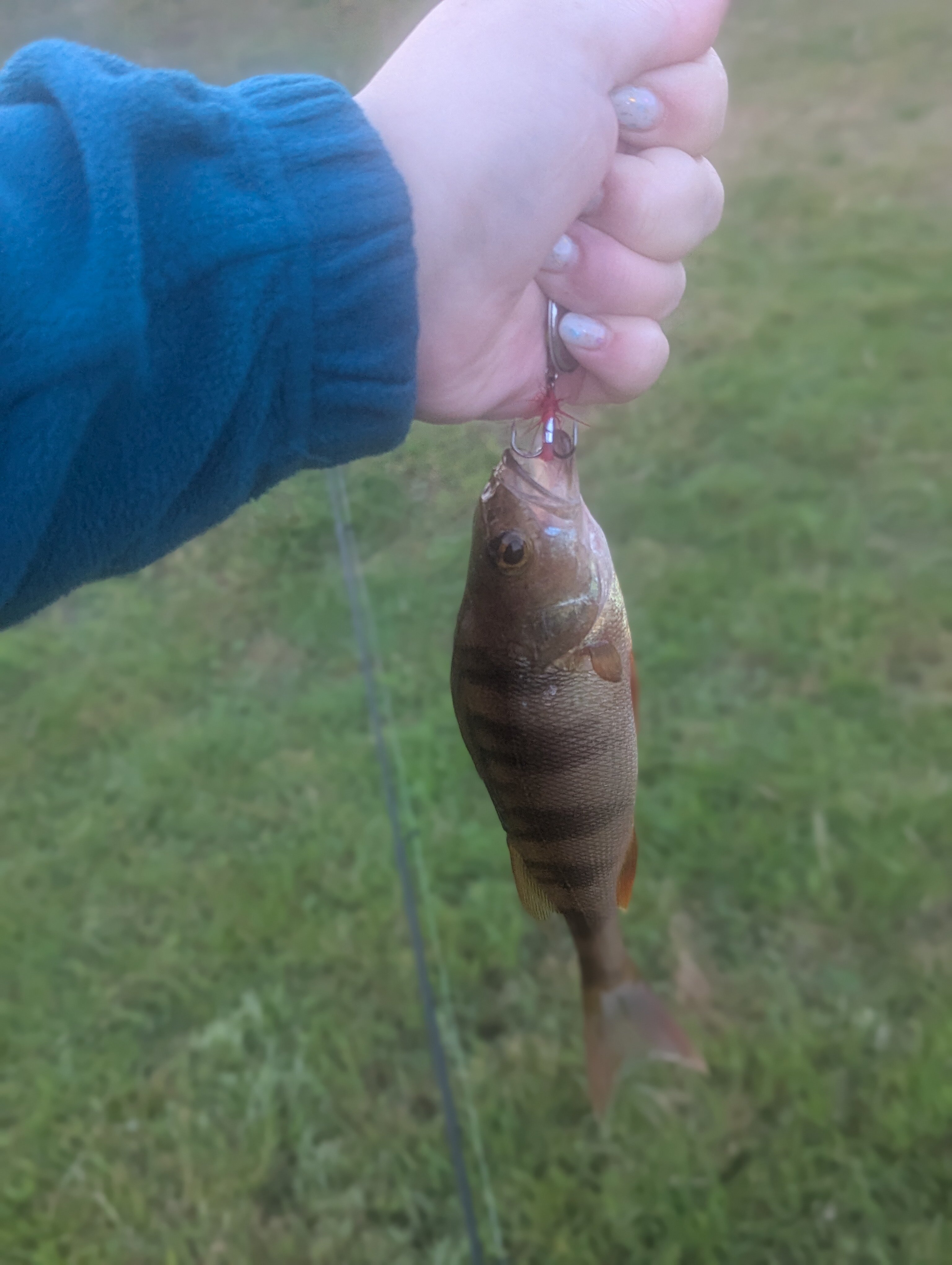Фото Водлозеро