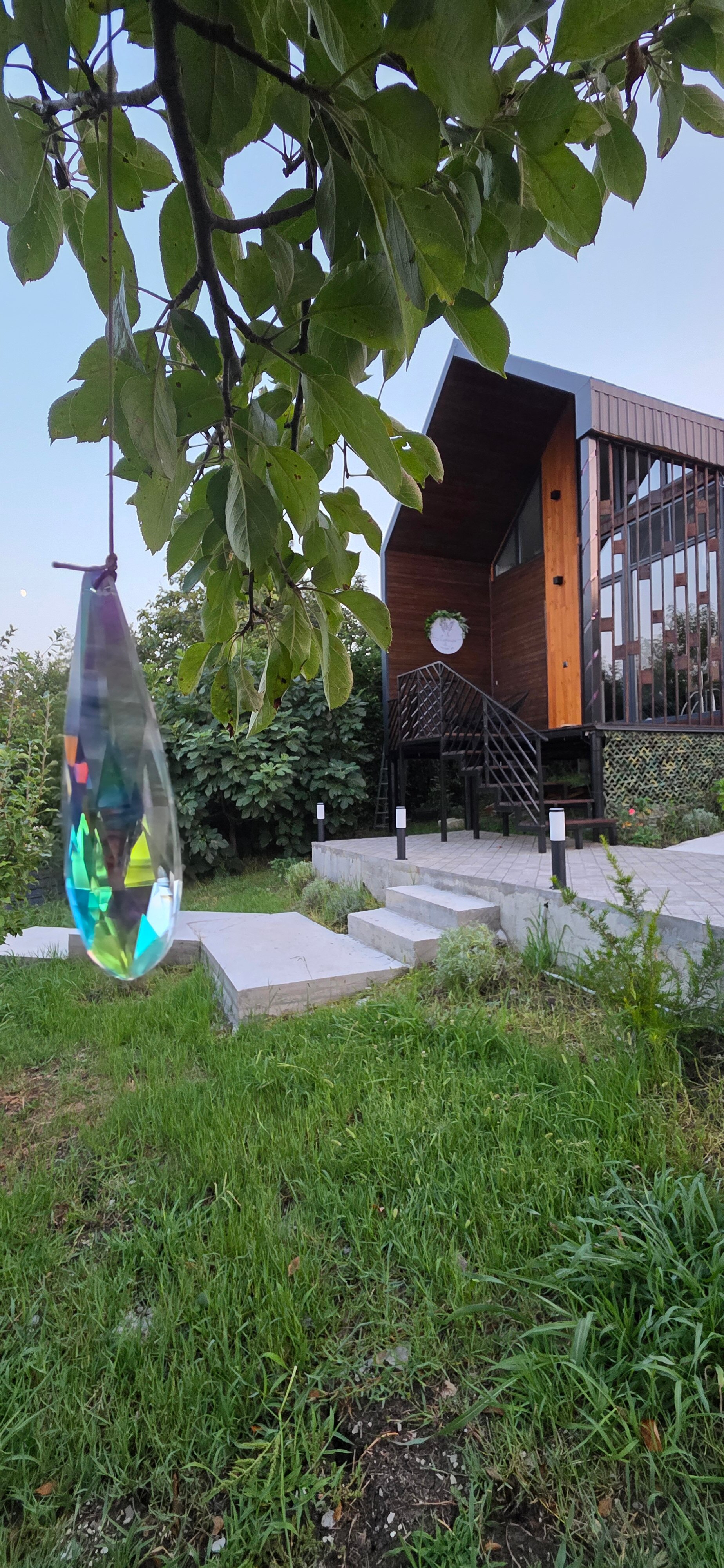 Фото Лаванда