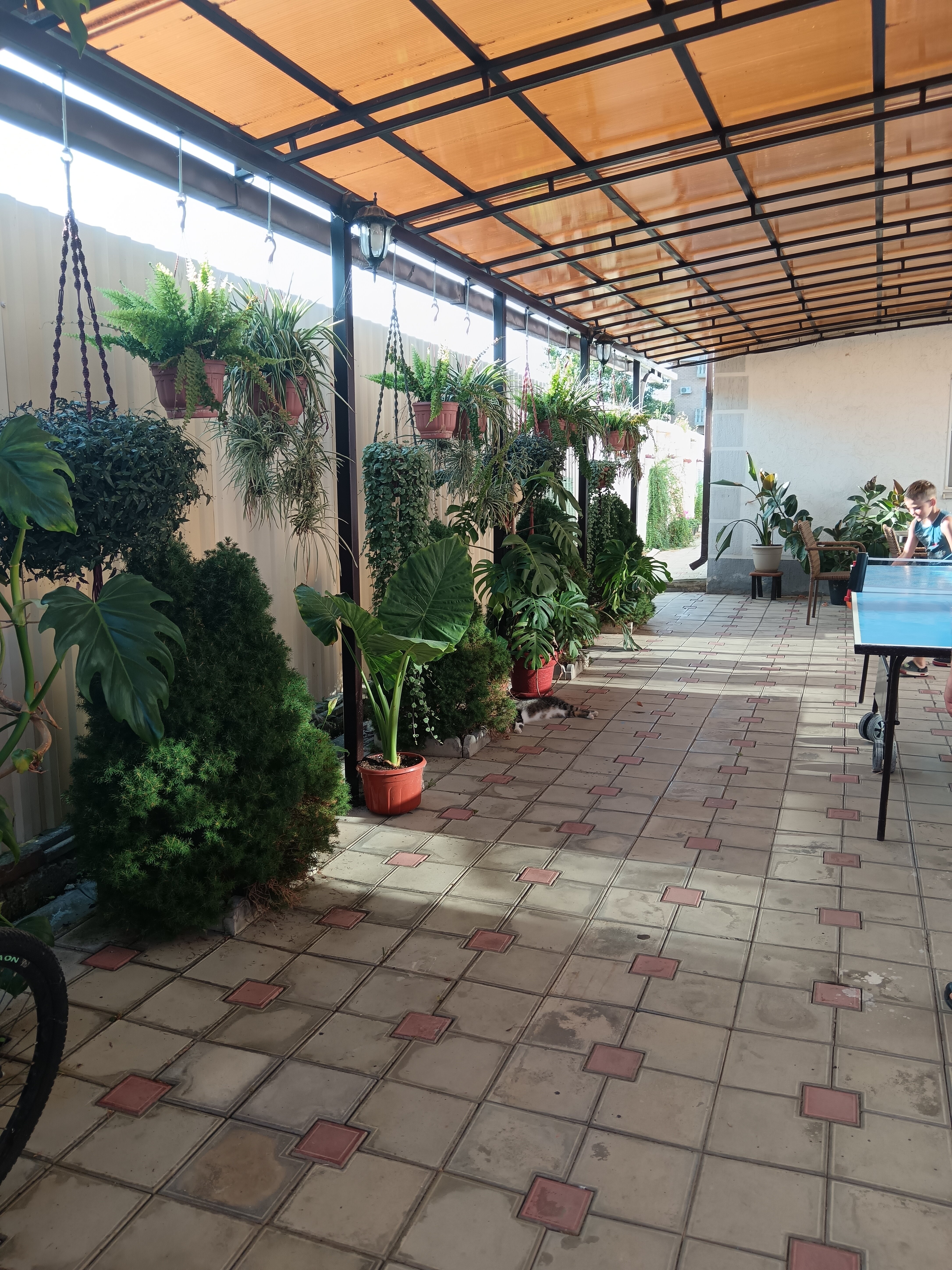 Фото Павловская усадьба