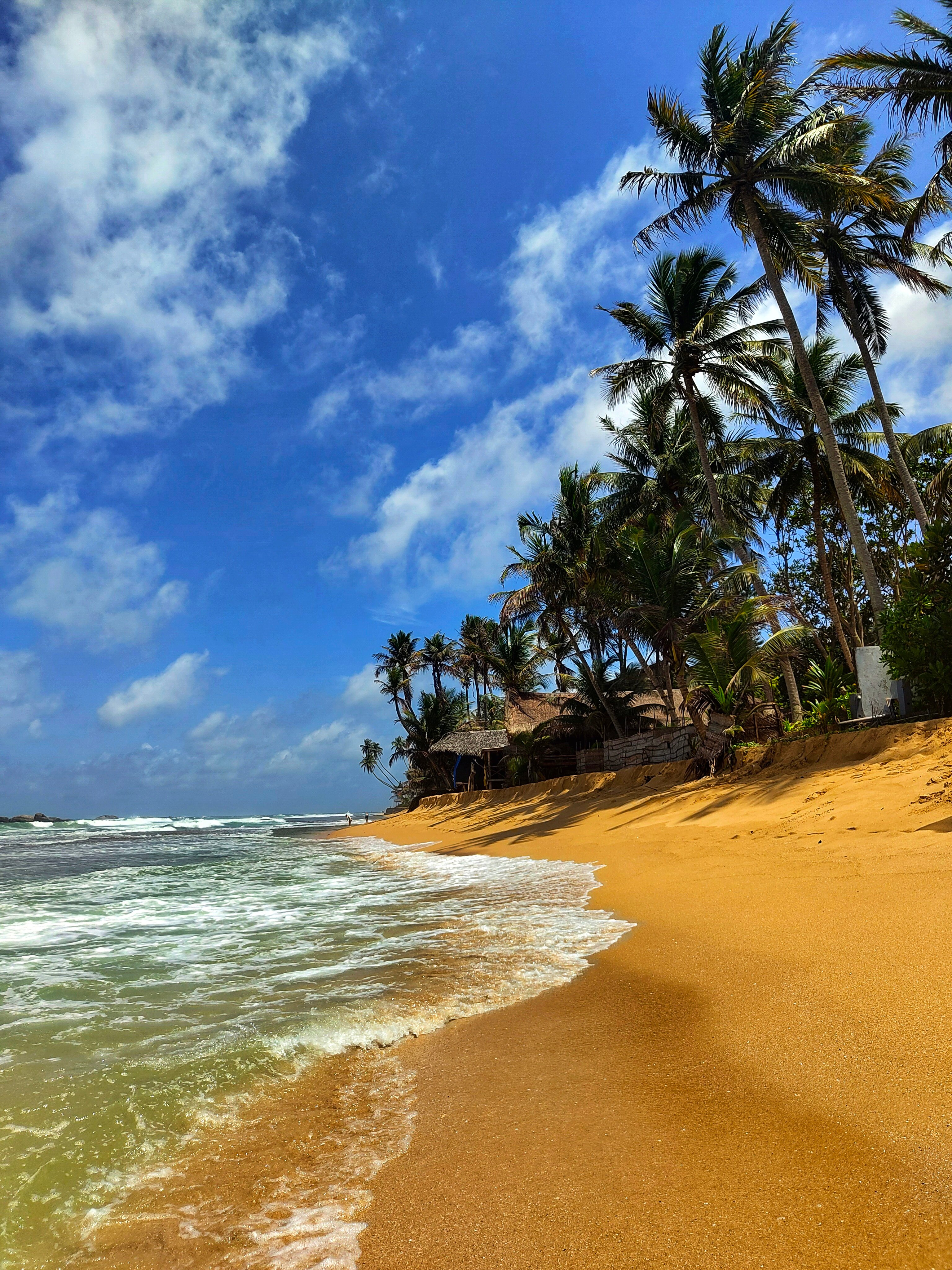 Фото Hikka Tranz by Cinnamon