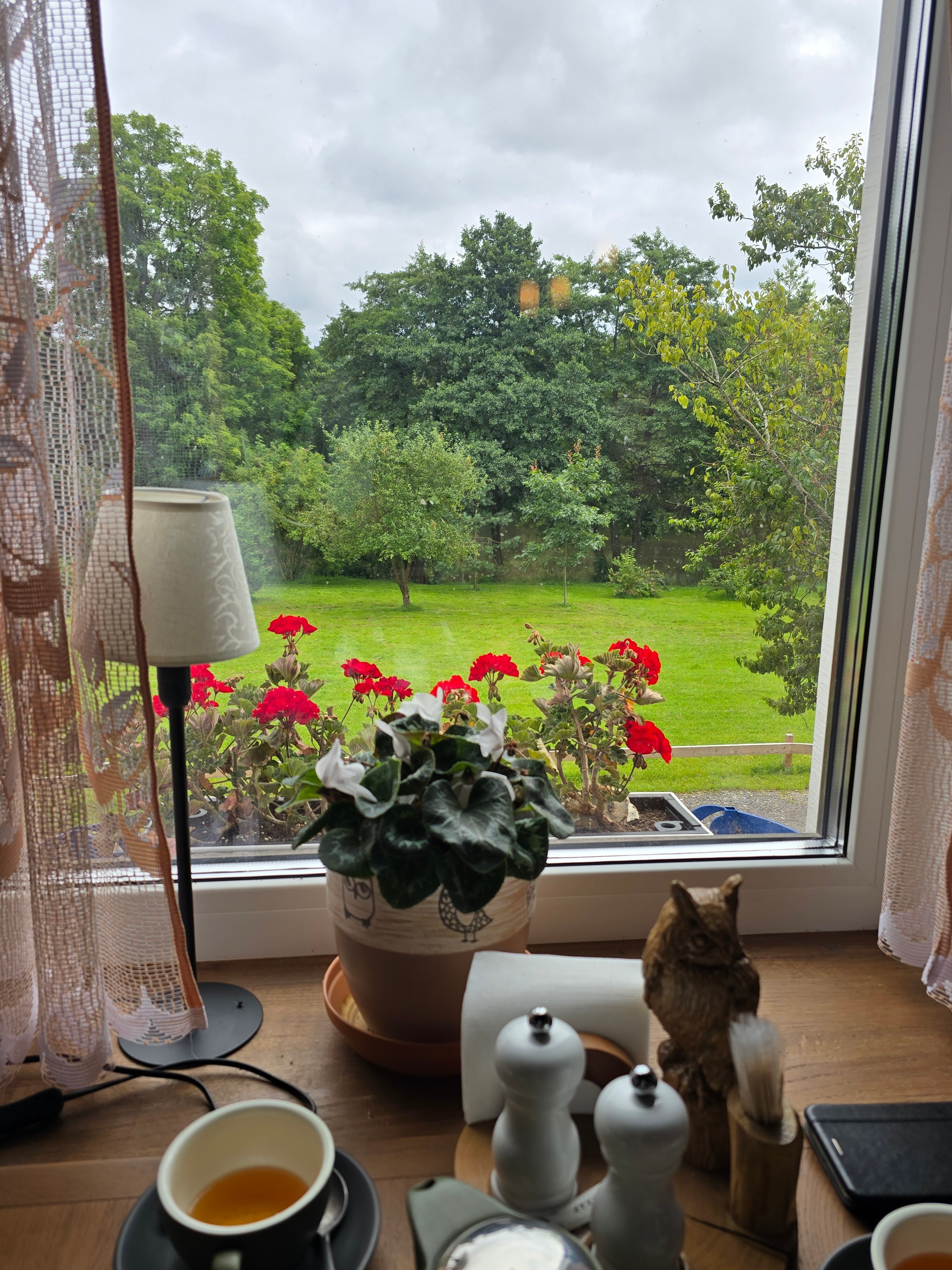 Фото Белый филин