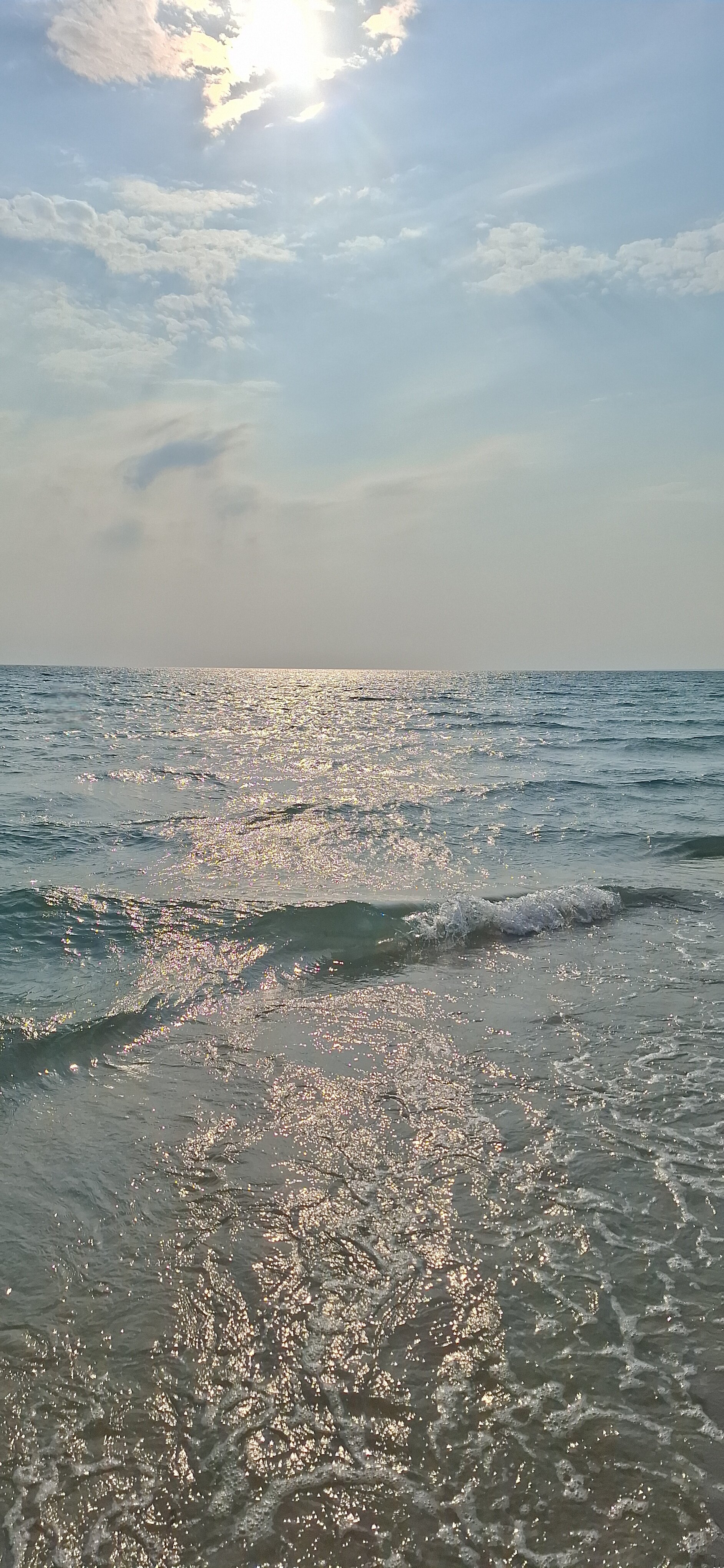 Фото Купава