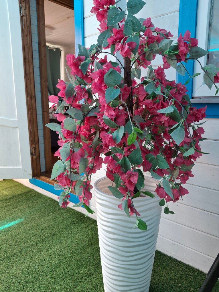 Фото Вилла Санторини