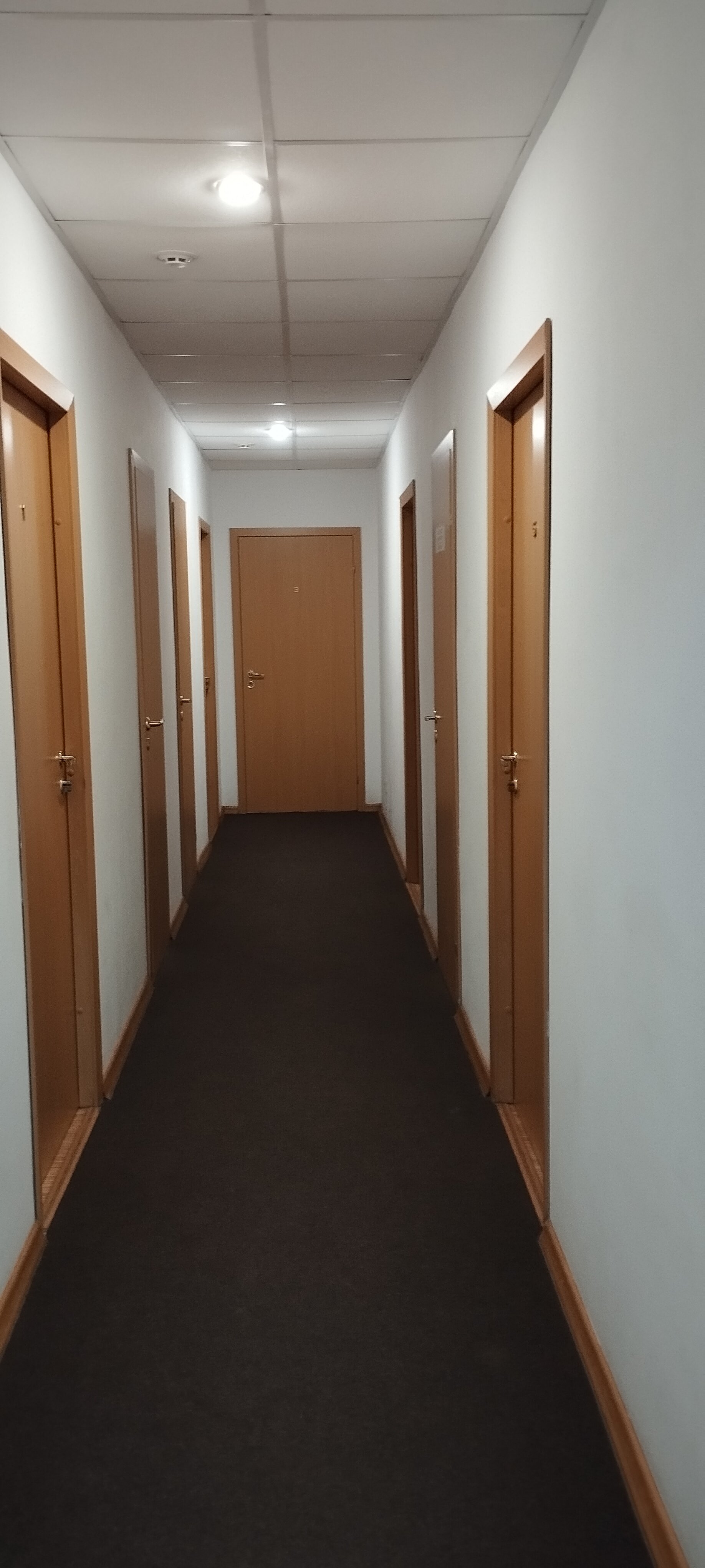 Фото Кристайл