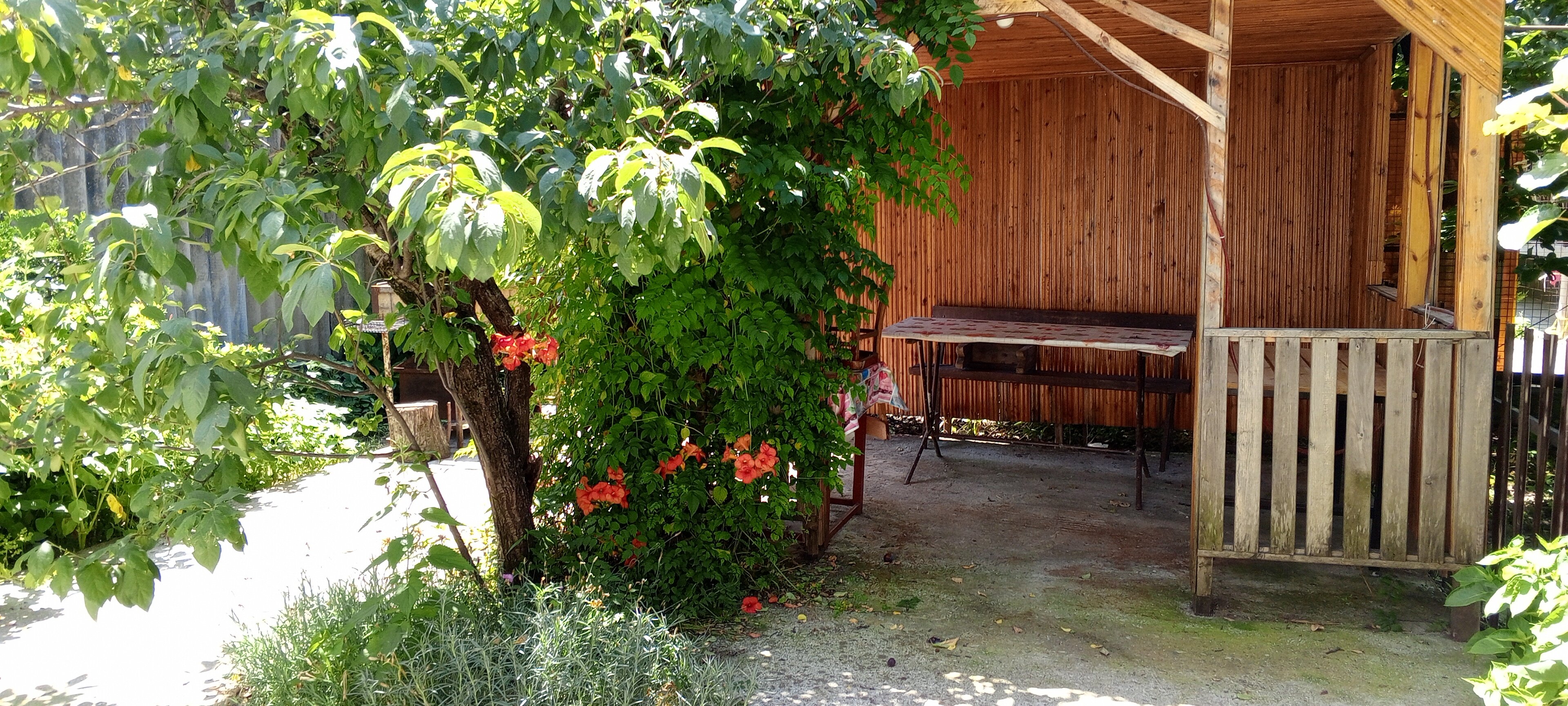 Фото РасСвет