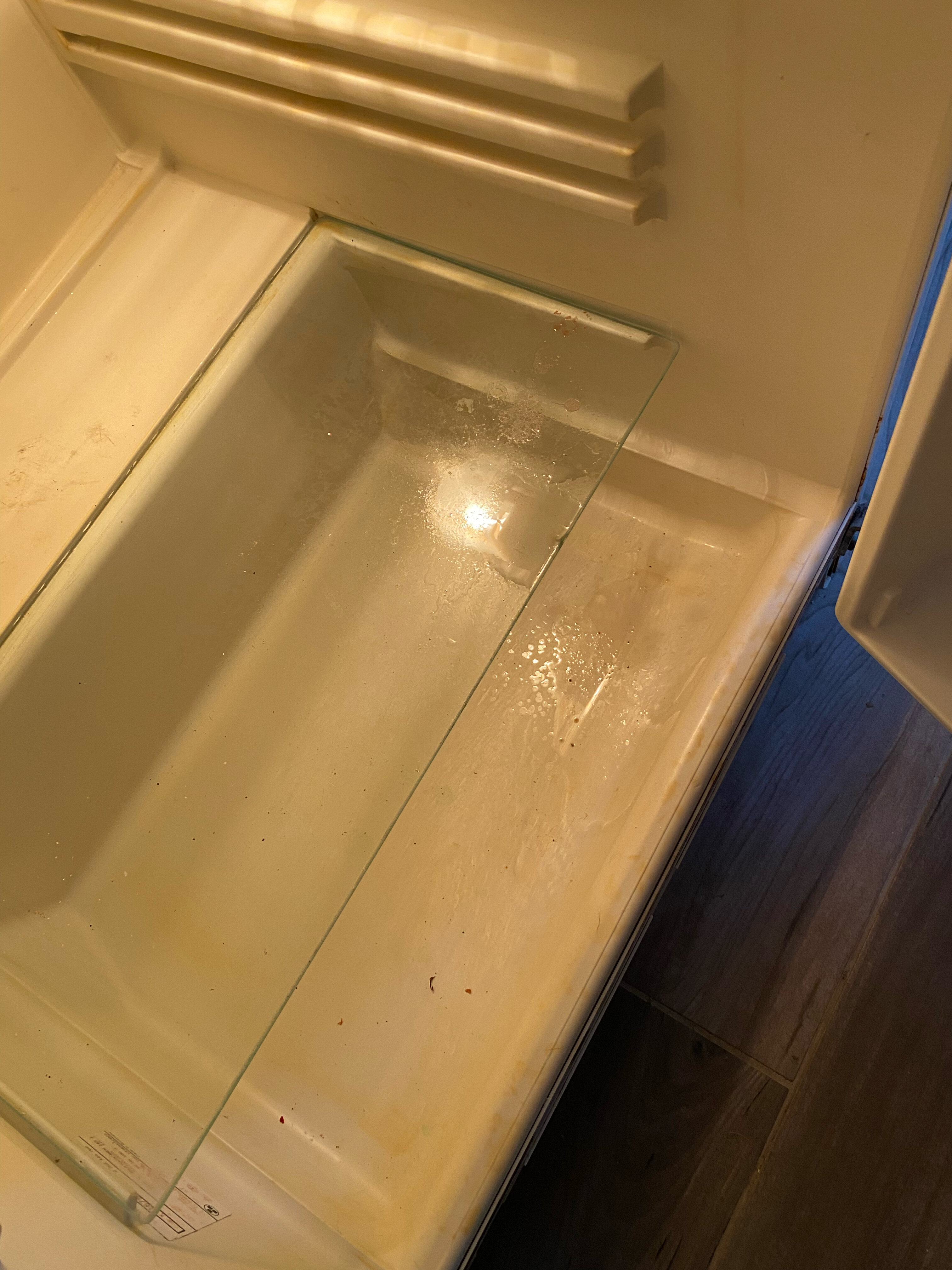 Фото Шафран