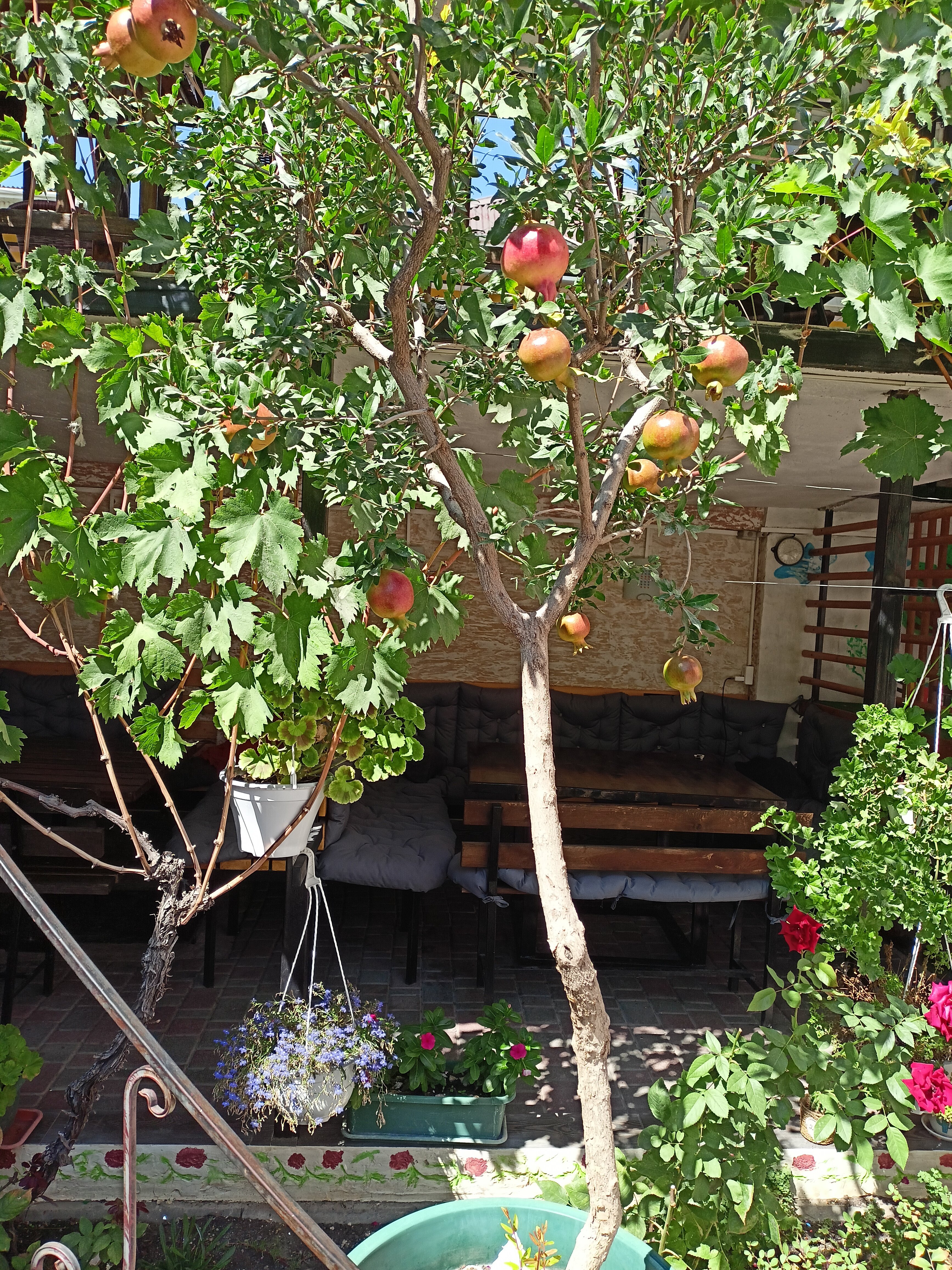 Фото Мари-Мар