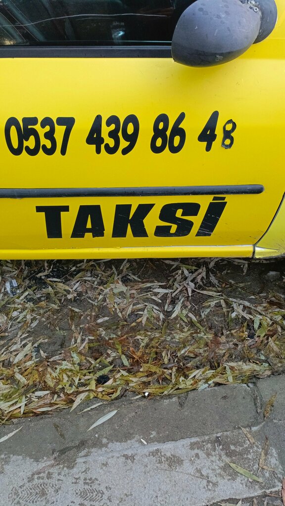 Freight forwarding Tutak Taksi Celil, Tutak, photo